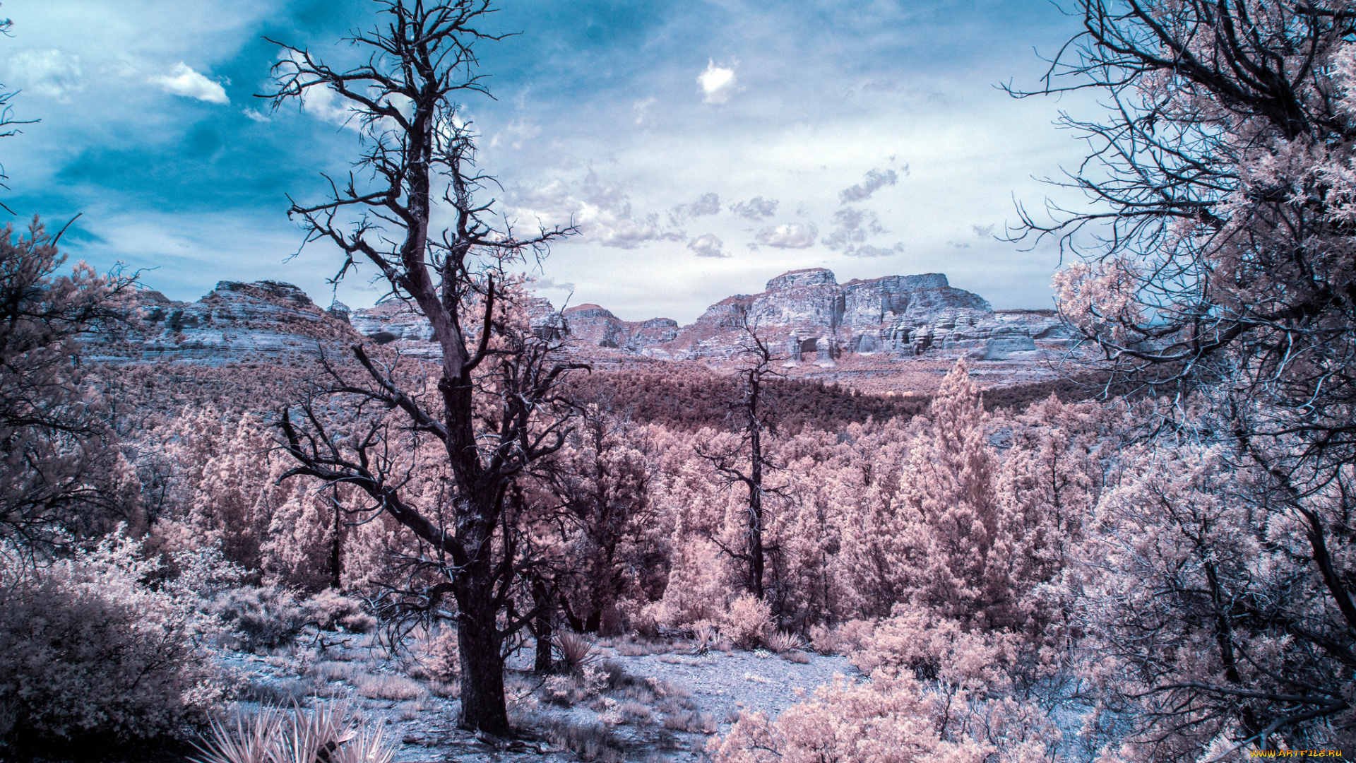 природа, пейзажи, простор