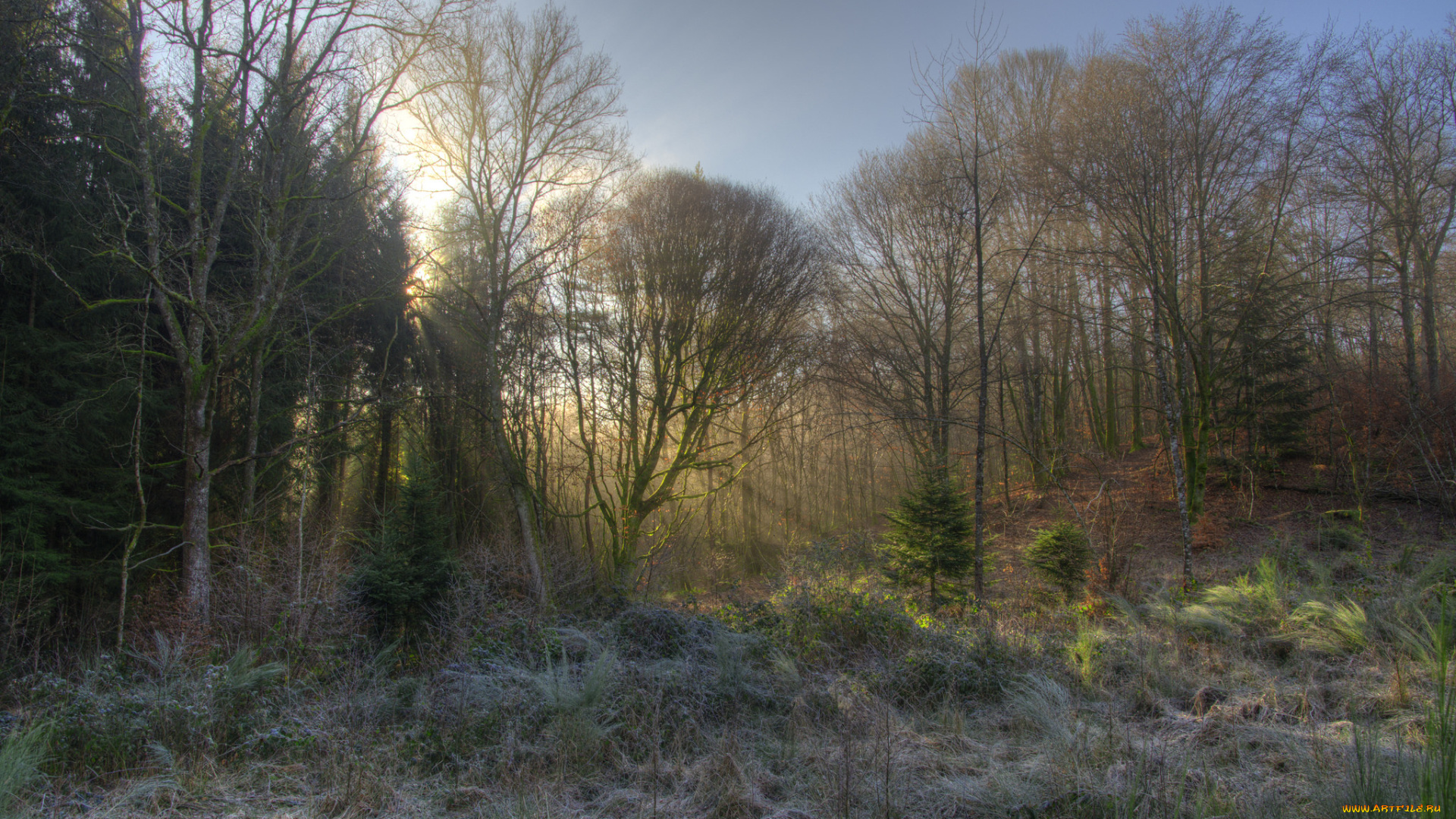 природа, пейзажи, простор