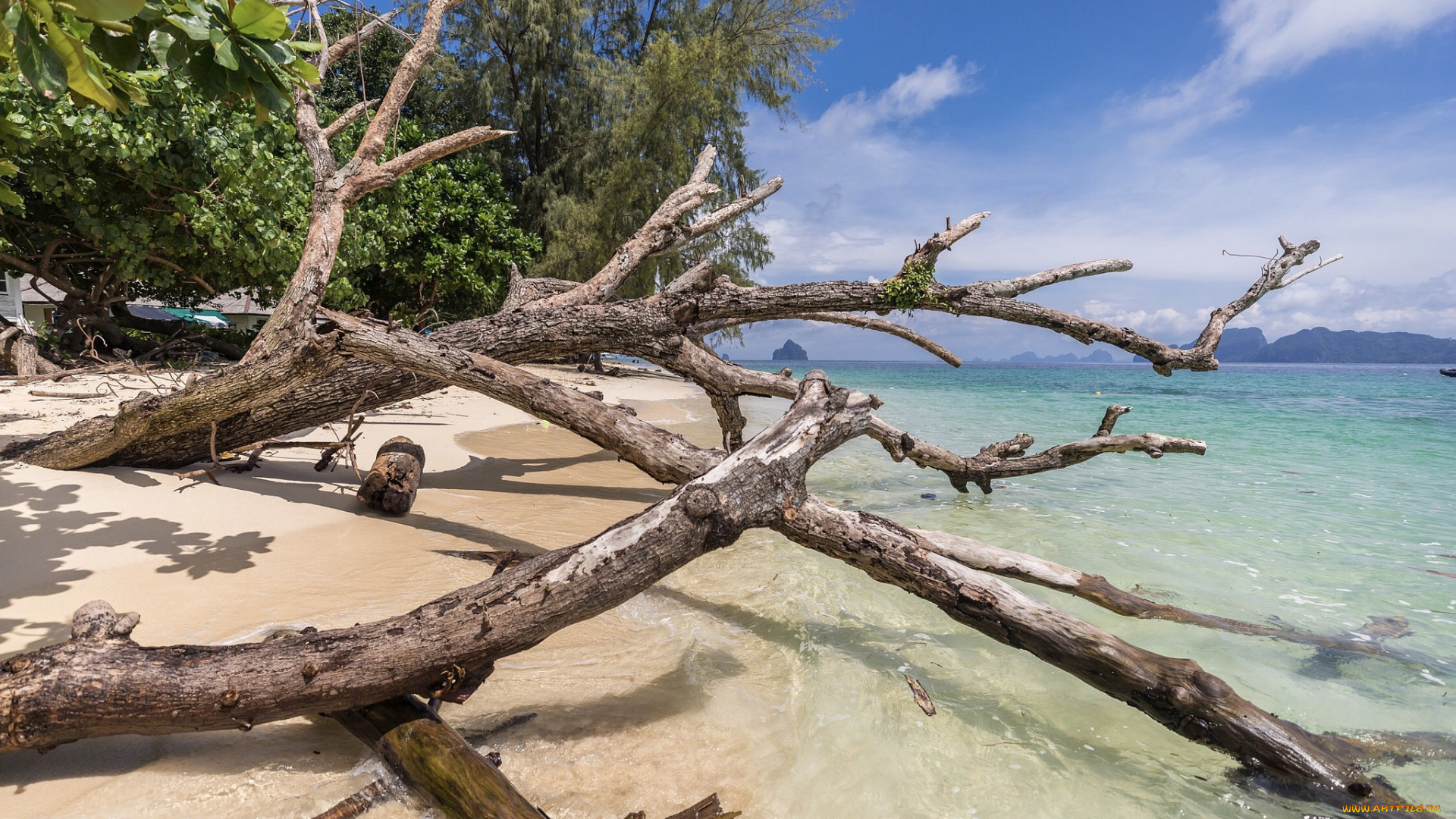 природа, побережье, простор