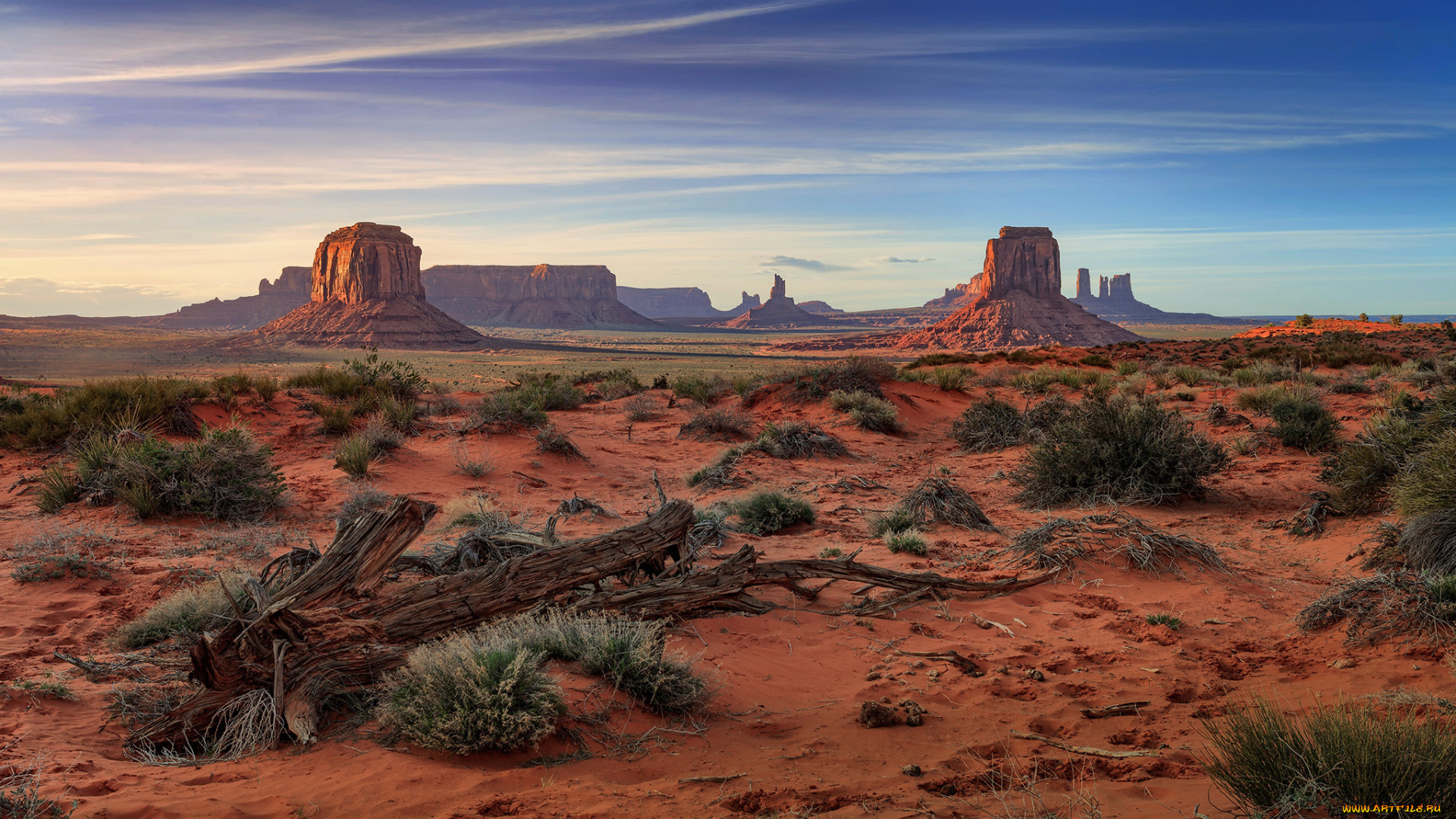 природа, пустыни, простор