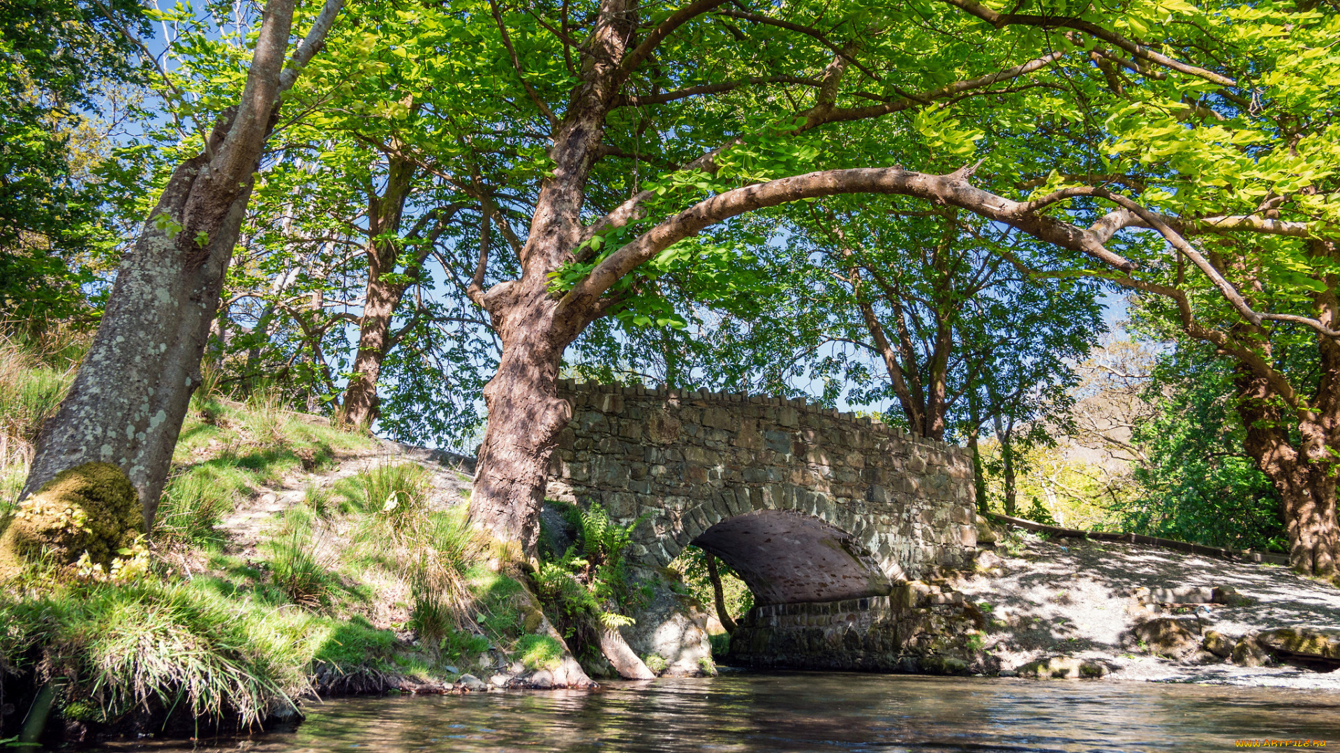 природа, реки, озера, простор