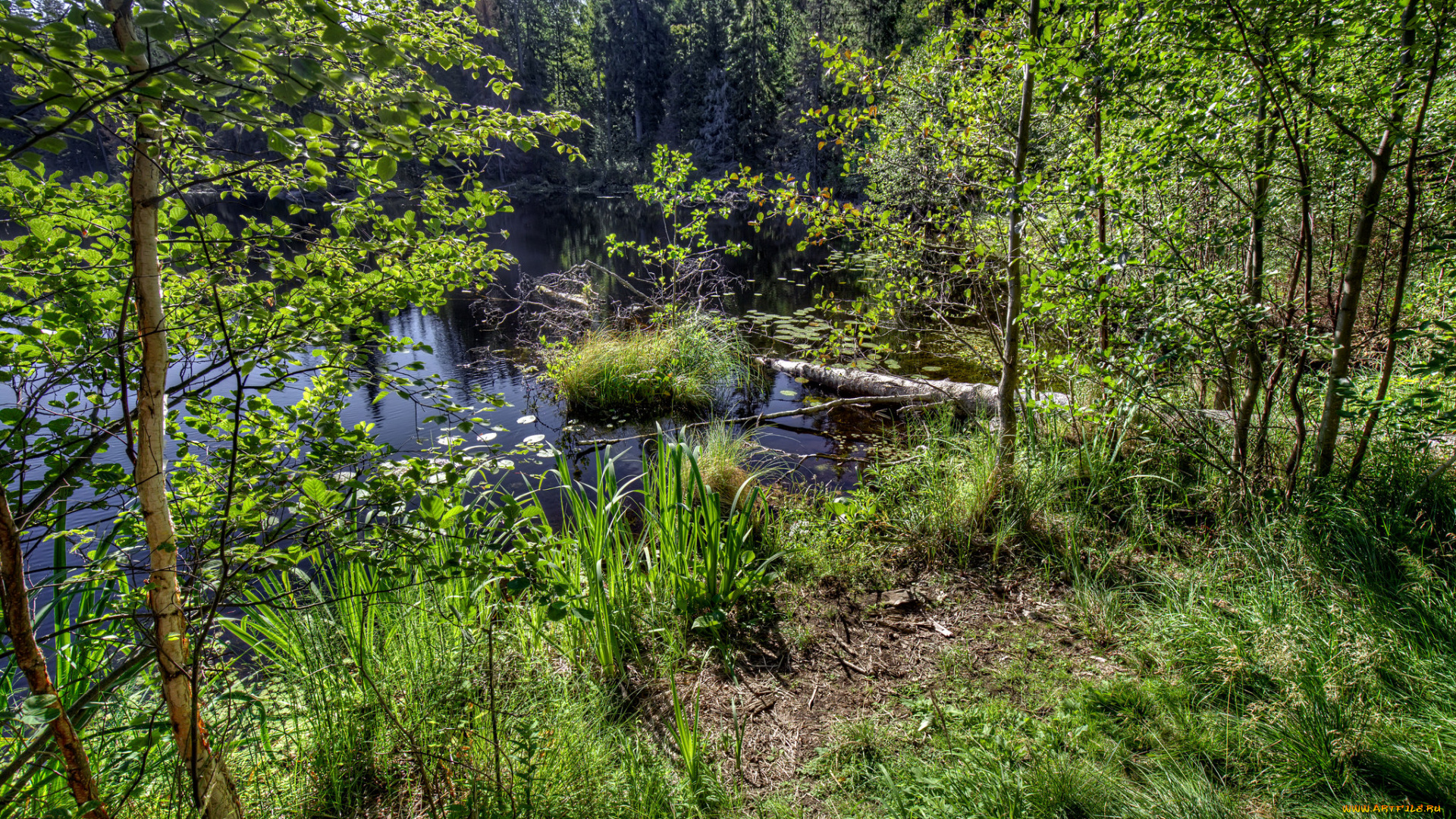 природа, реки, озера, простор