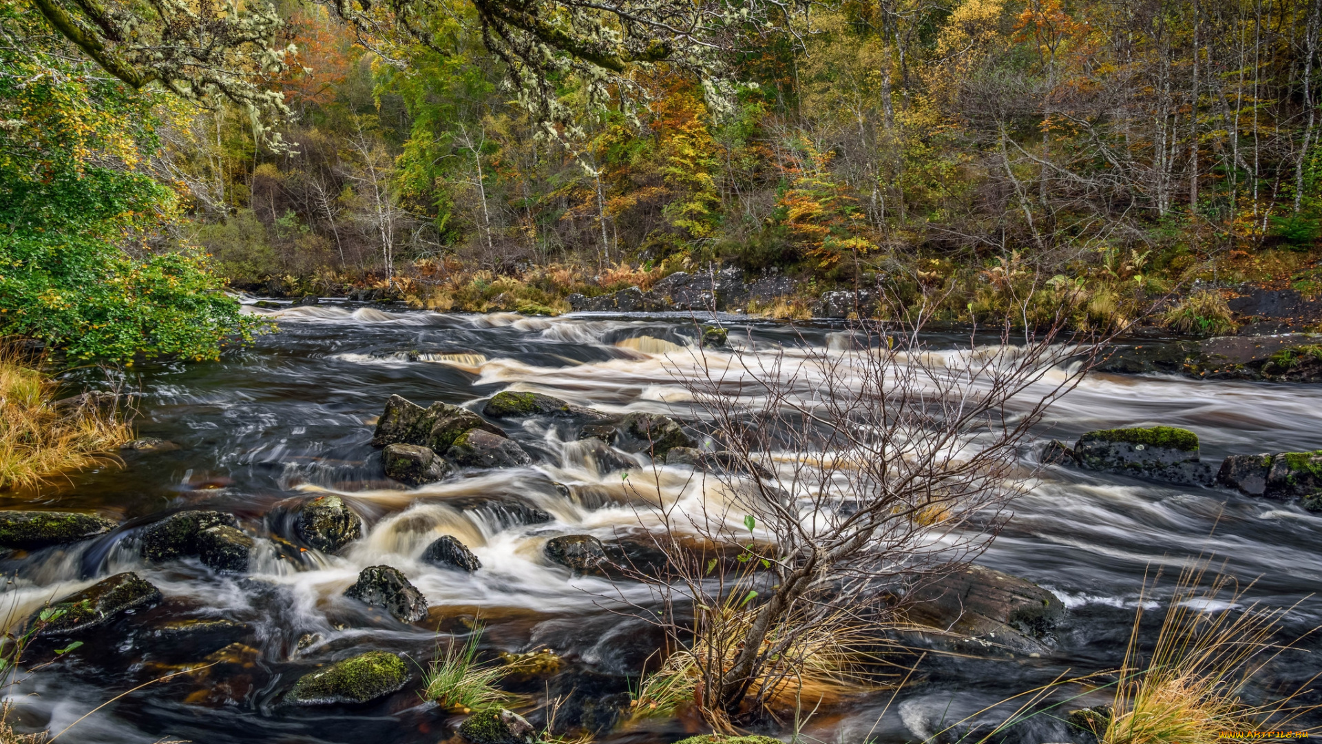 природа, реки, озера, простор