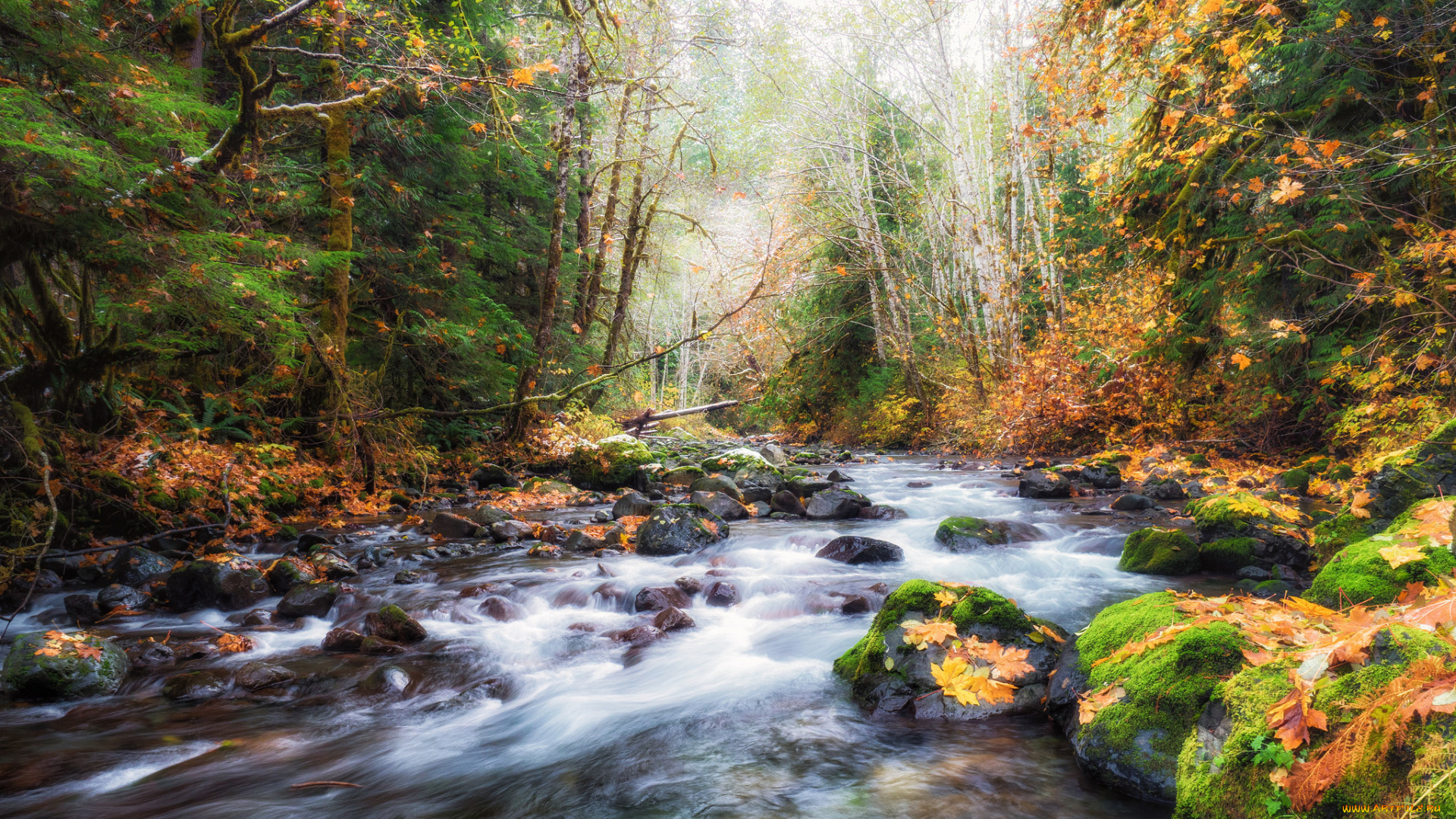 природа, реки, озера, простор