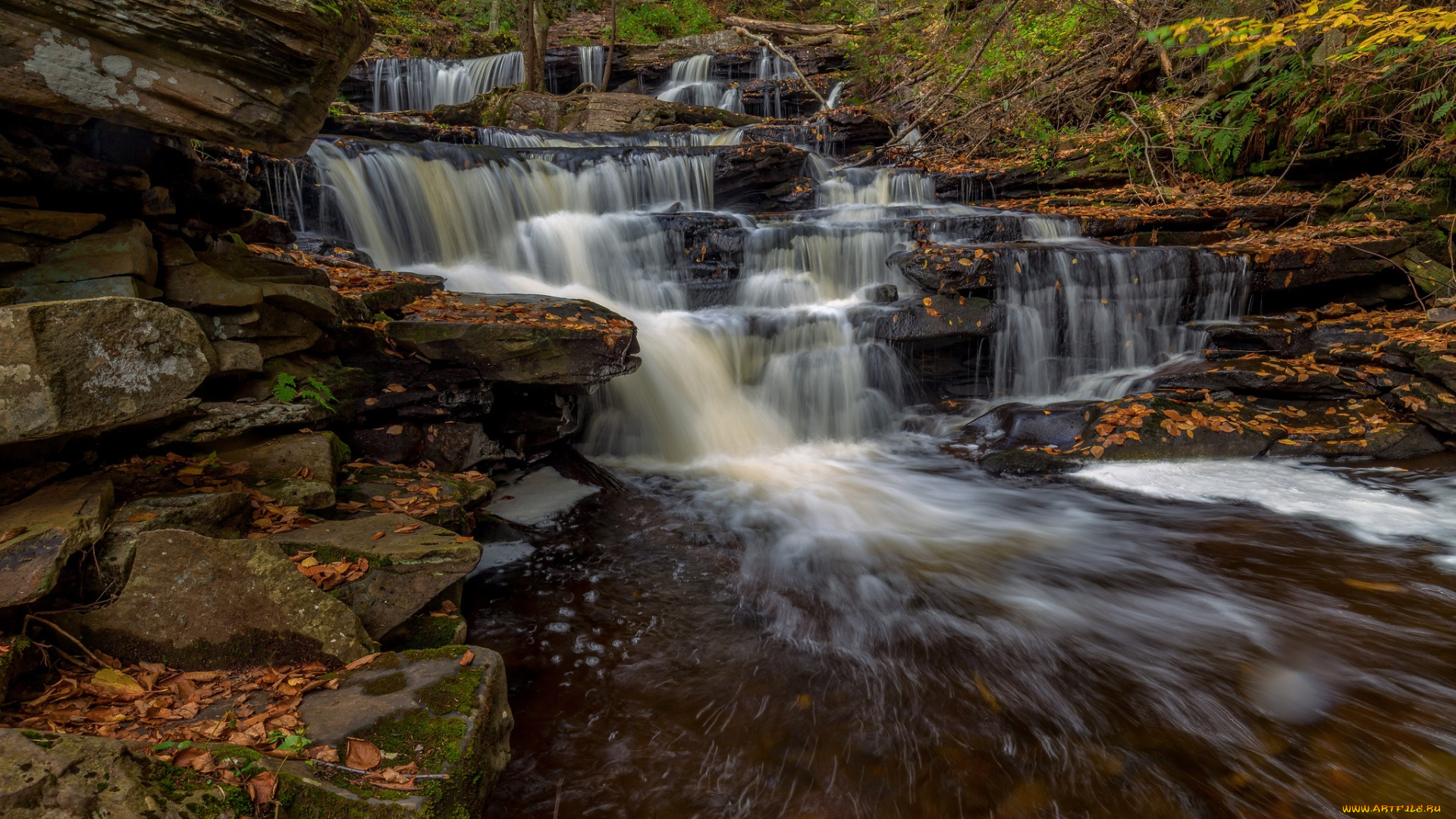 природа, реки, озера, простор