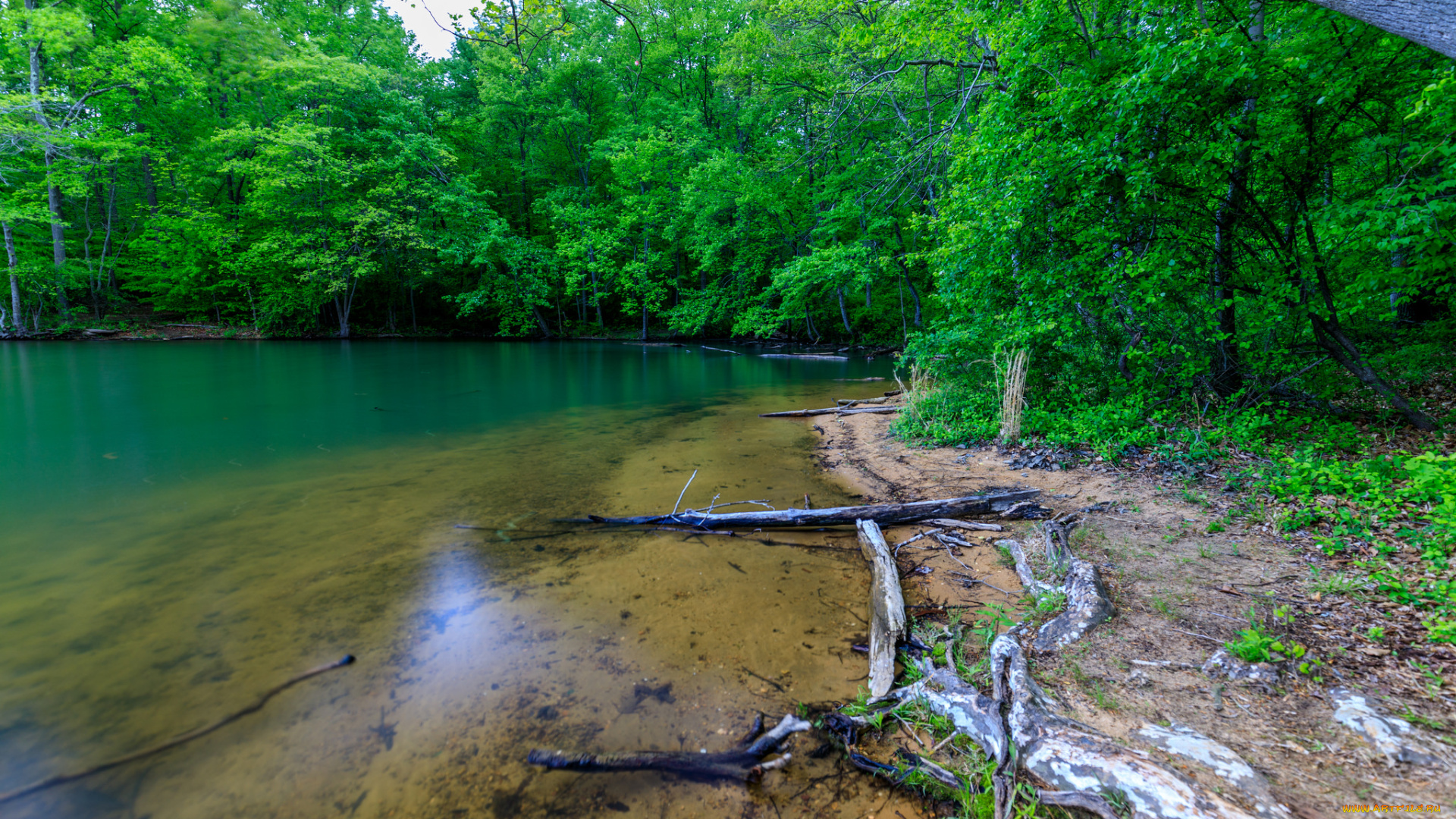 природа, реки, озера, простор