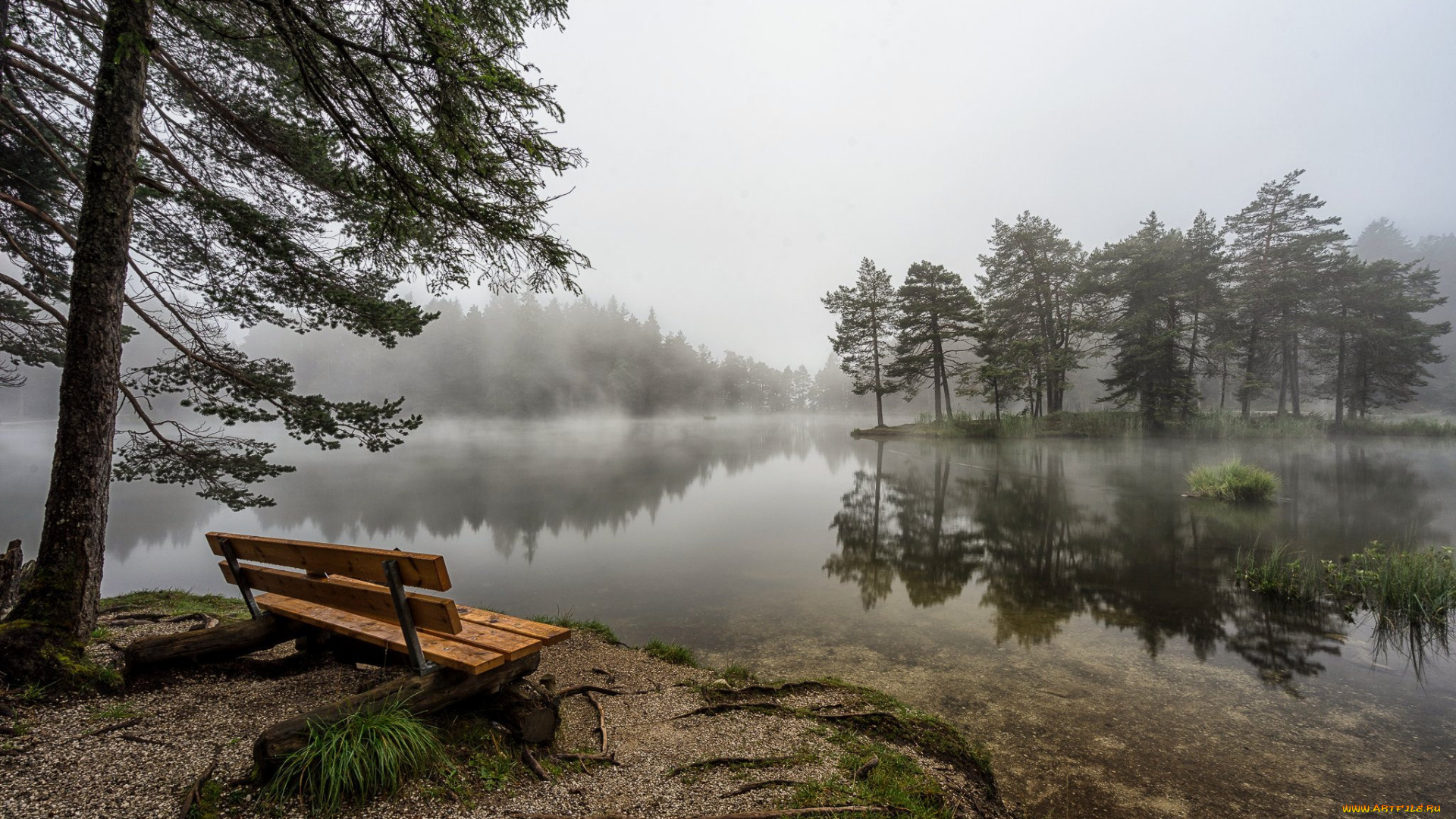 природа, реки, озера, простор