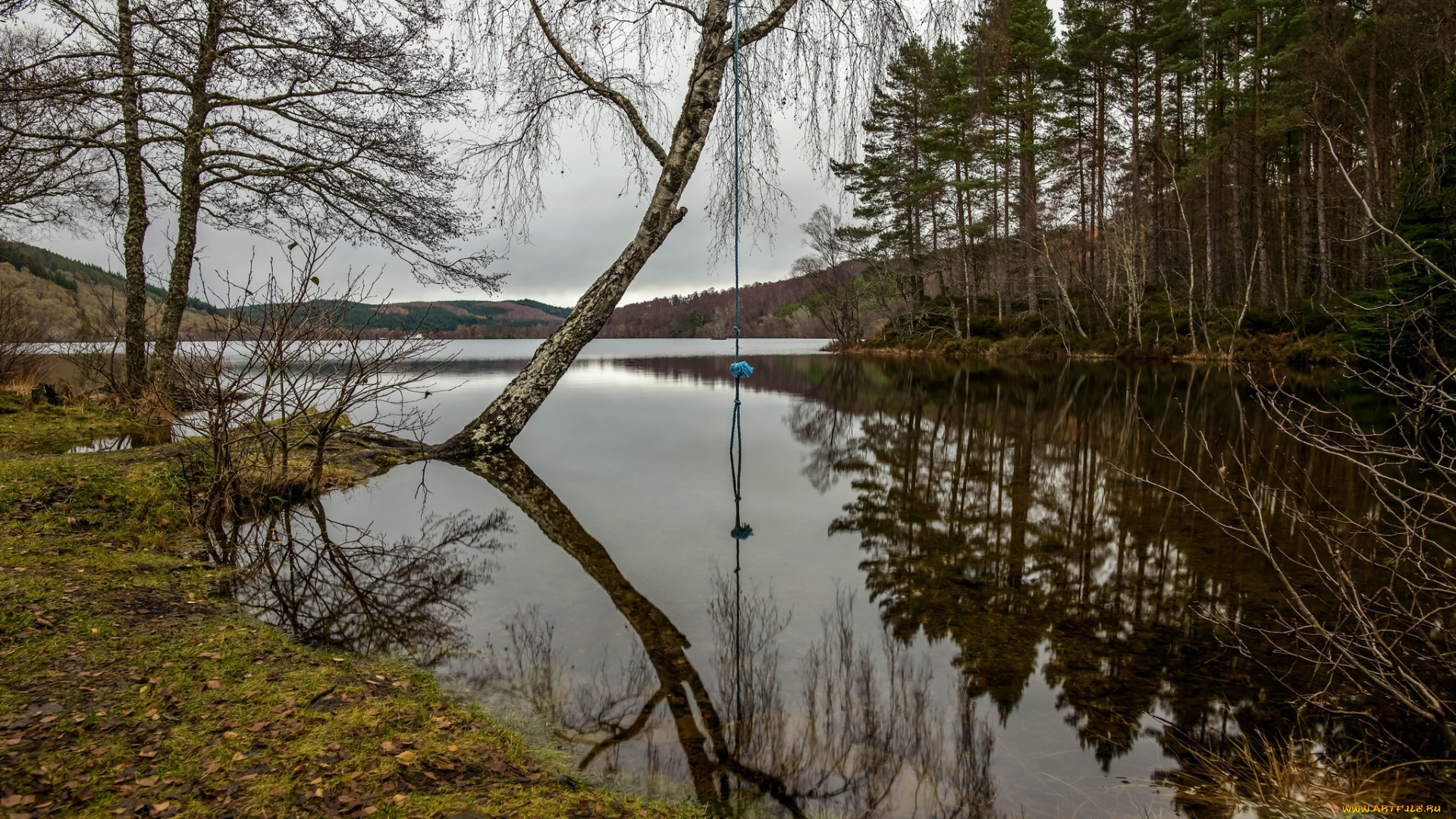 природа, реки, озера, простор