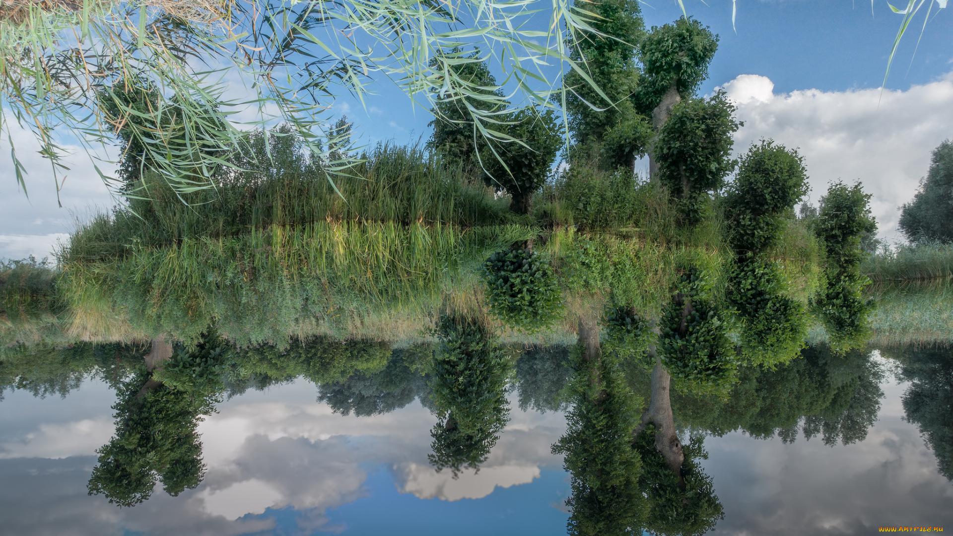 природа, реки, озера, простор