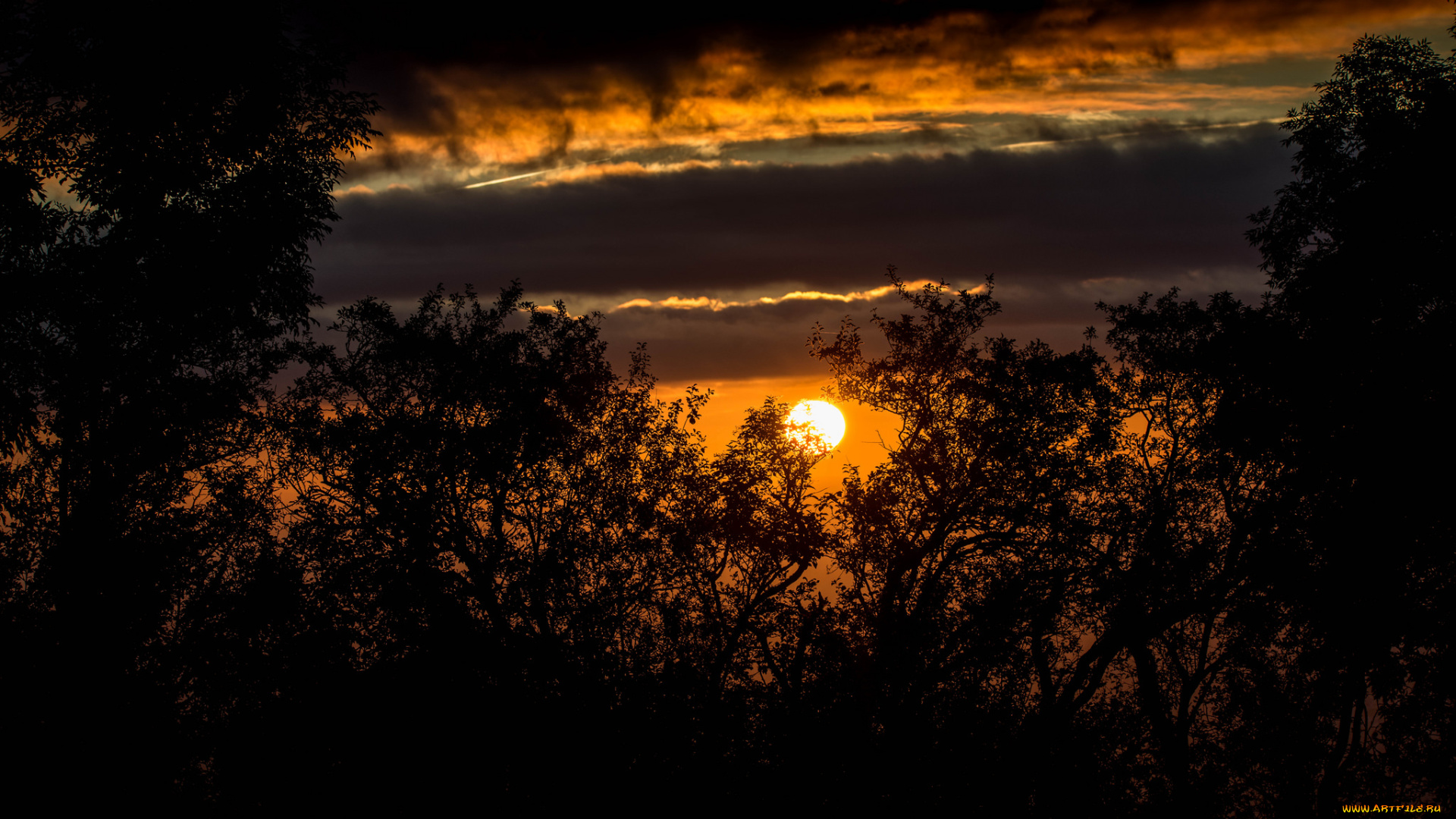 природа, восходы, закаты, простор