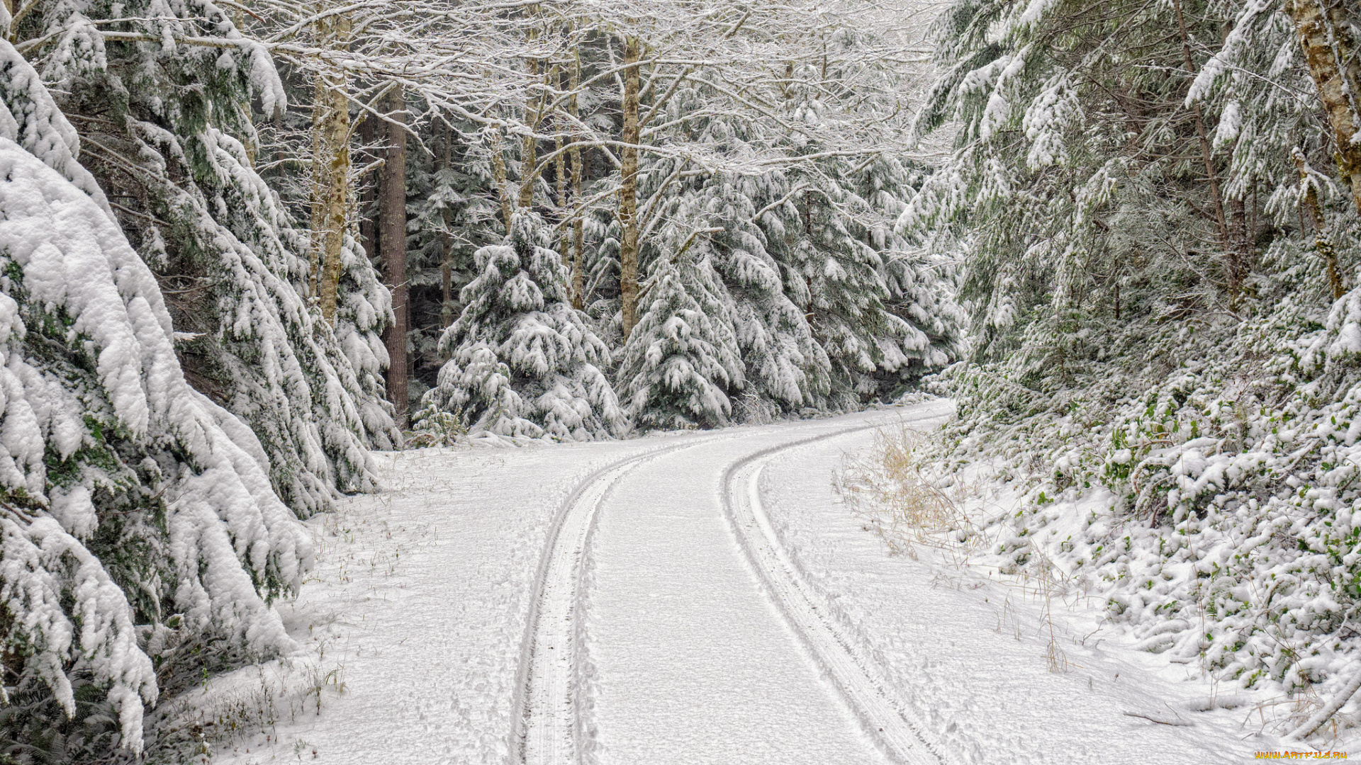 природа, зима, простор