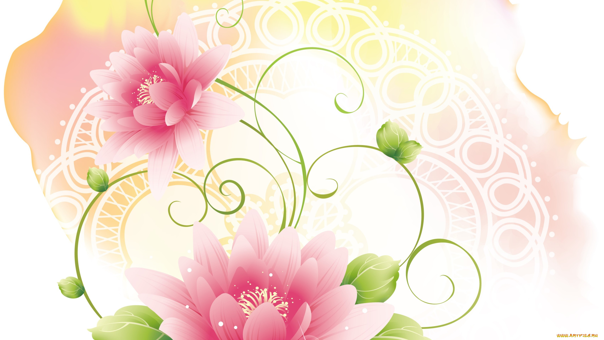 векторная, графика, цветы, , flowers, цветы, фон