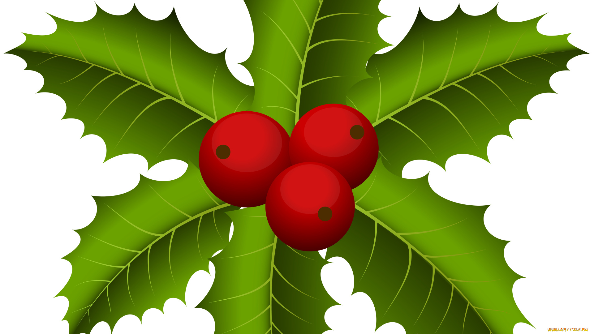 векторная, графика, цветы, , flowers, ягоды, фон, листья