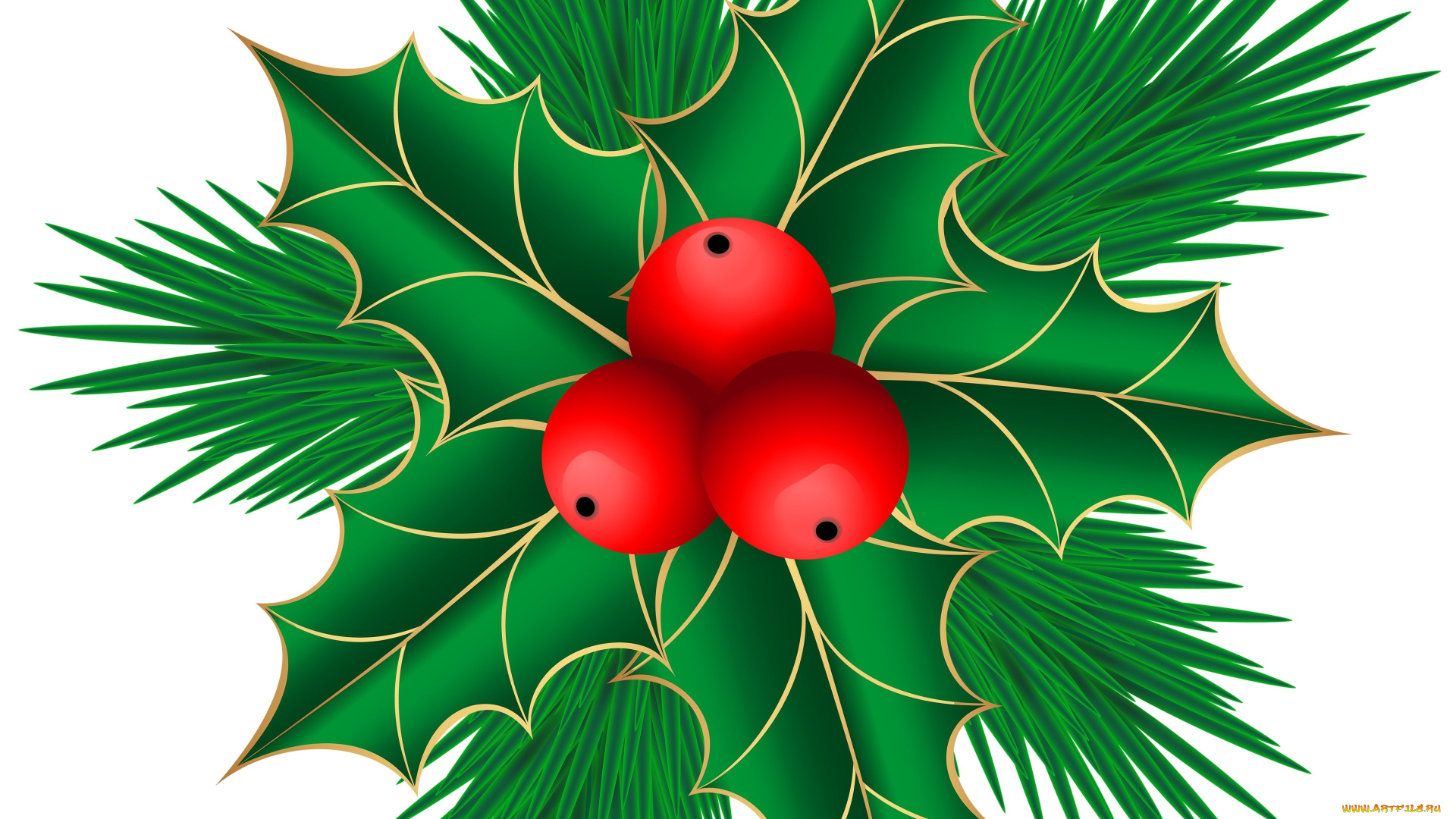 векторная, графика, цветы, , flowers, ягоды, фон, листья