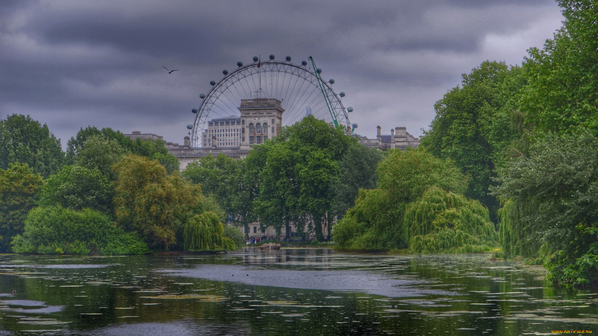 whitehall, города, лондон, , великобритания, простор