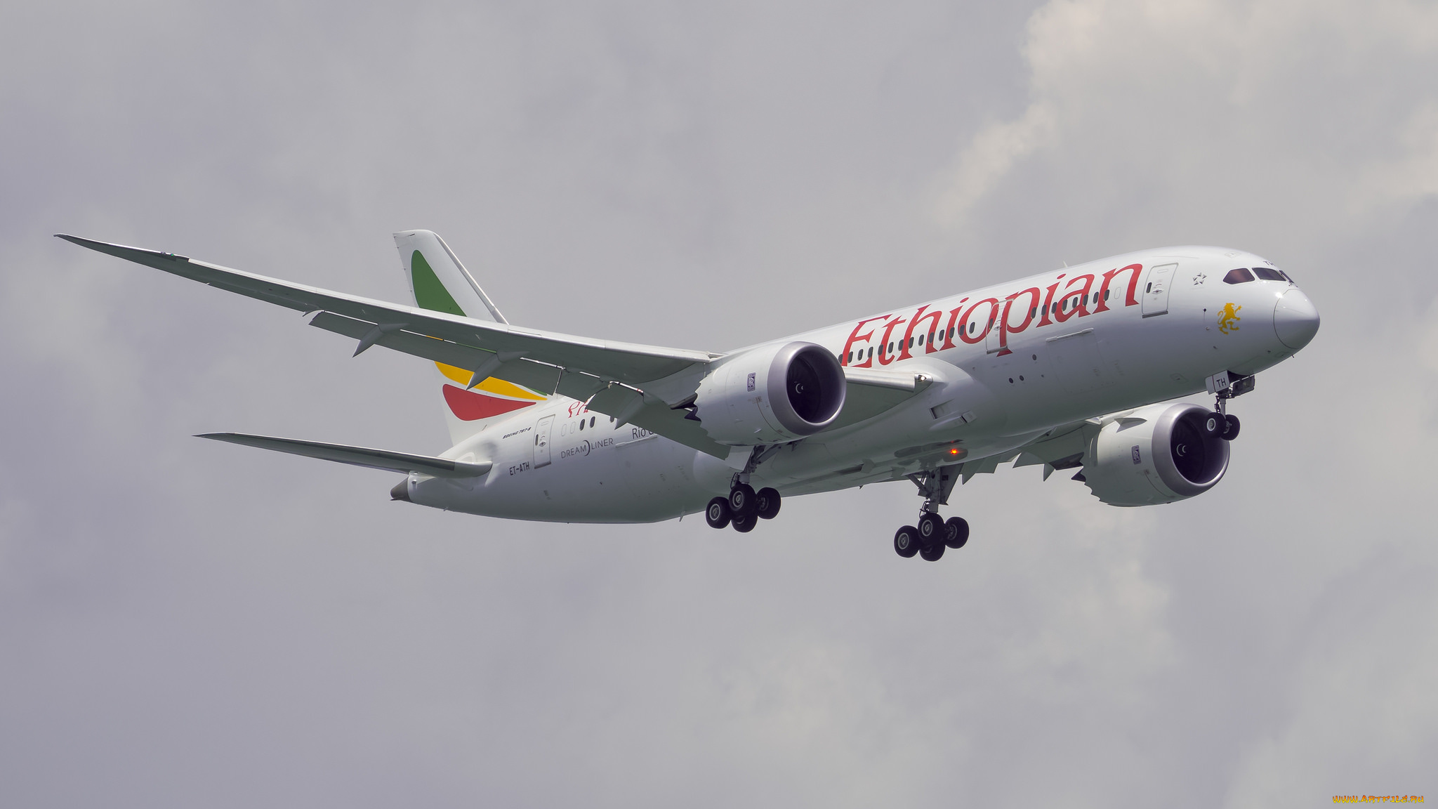 b787-9, dreamliner, авиация, пассажирские, самолёты, авиалайнер