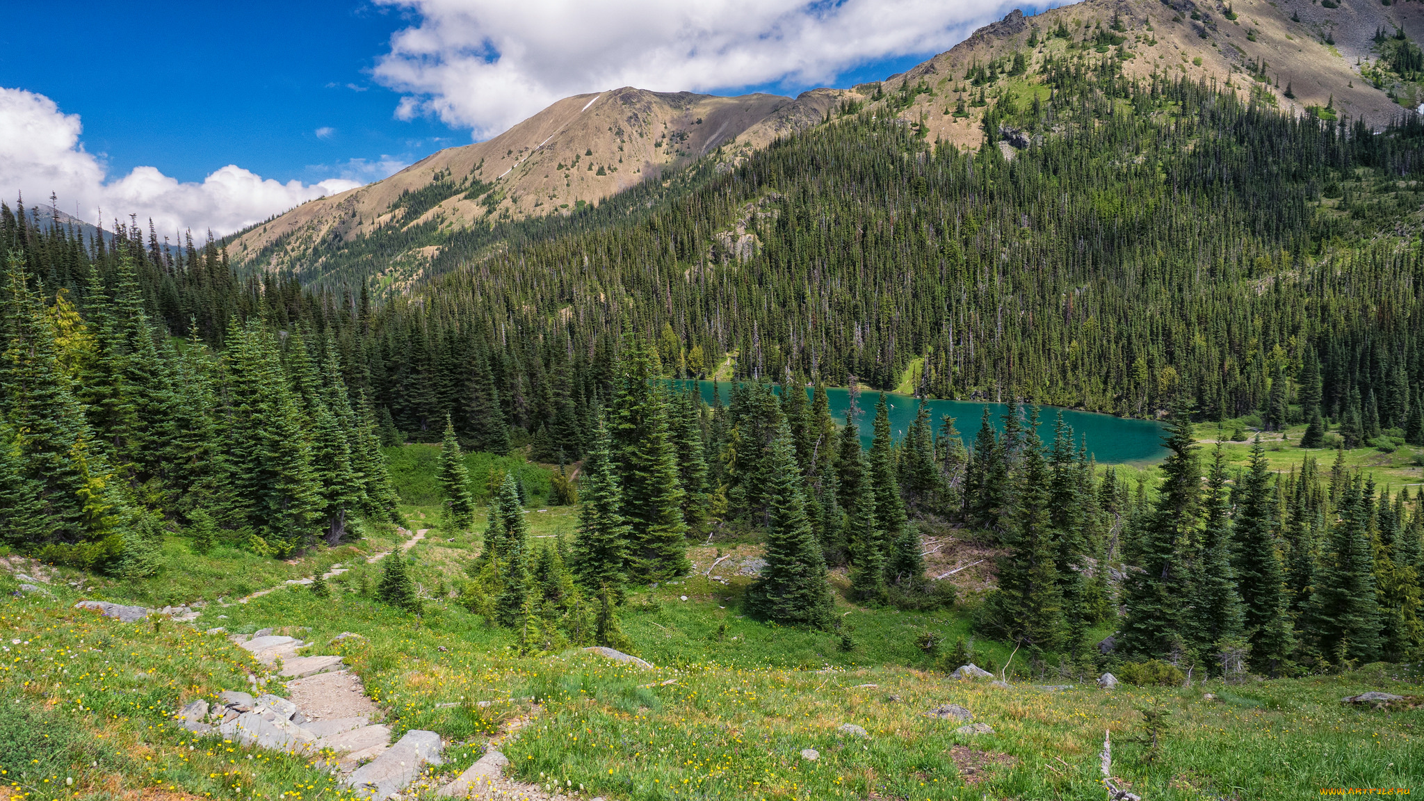 природа, пейзажи, простор