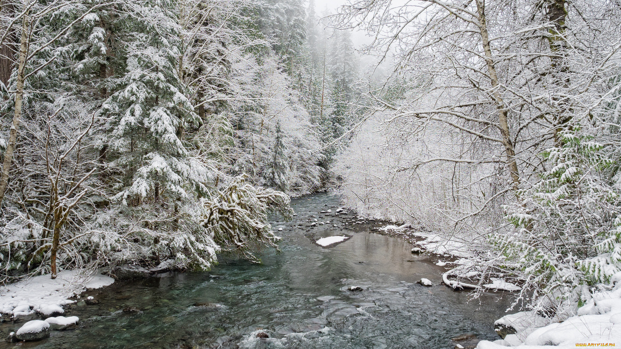 природа, зима, простор