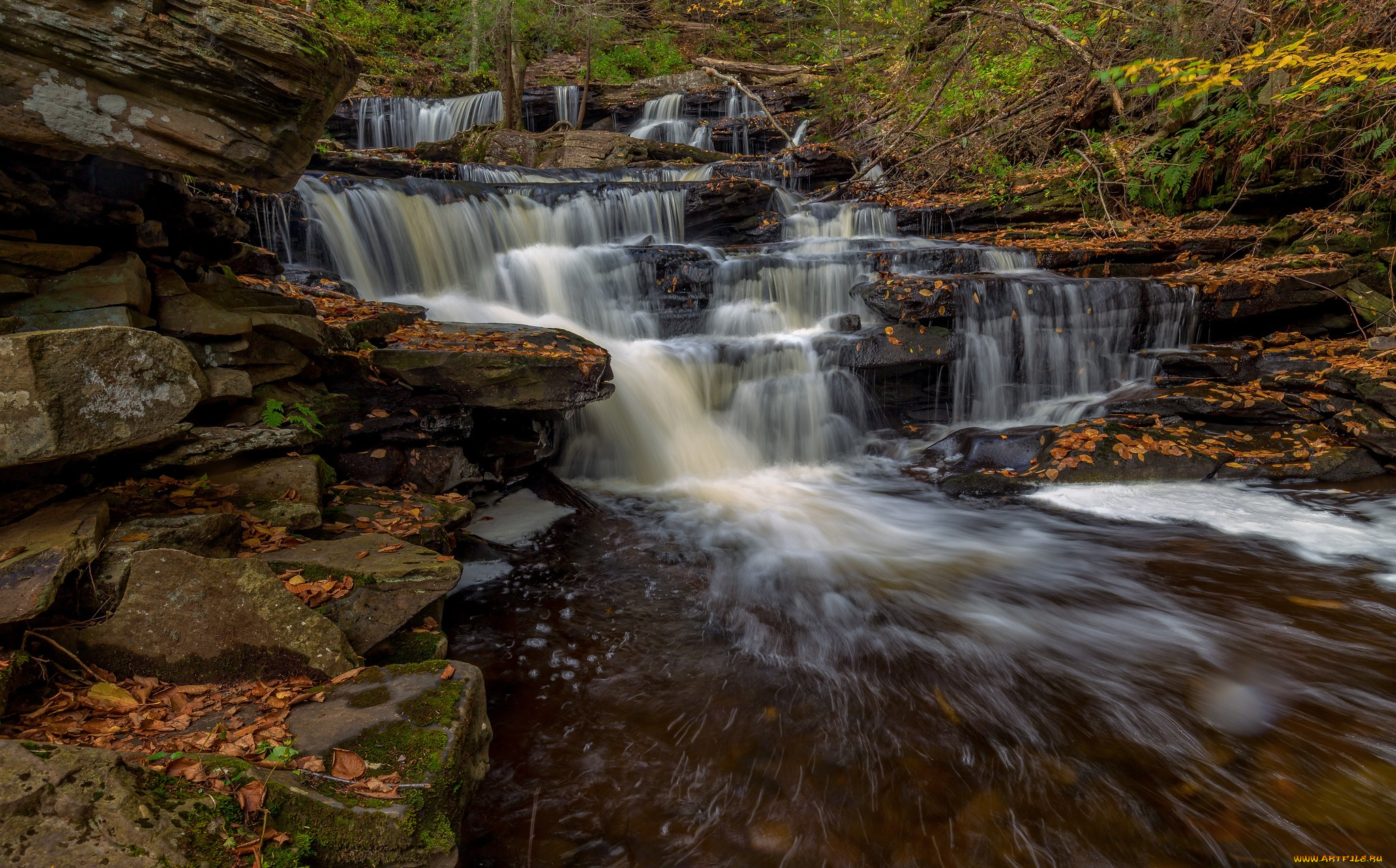 природа, реки, озера, простор