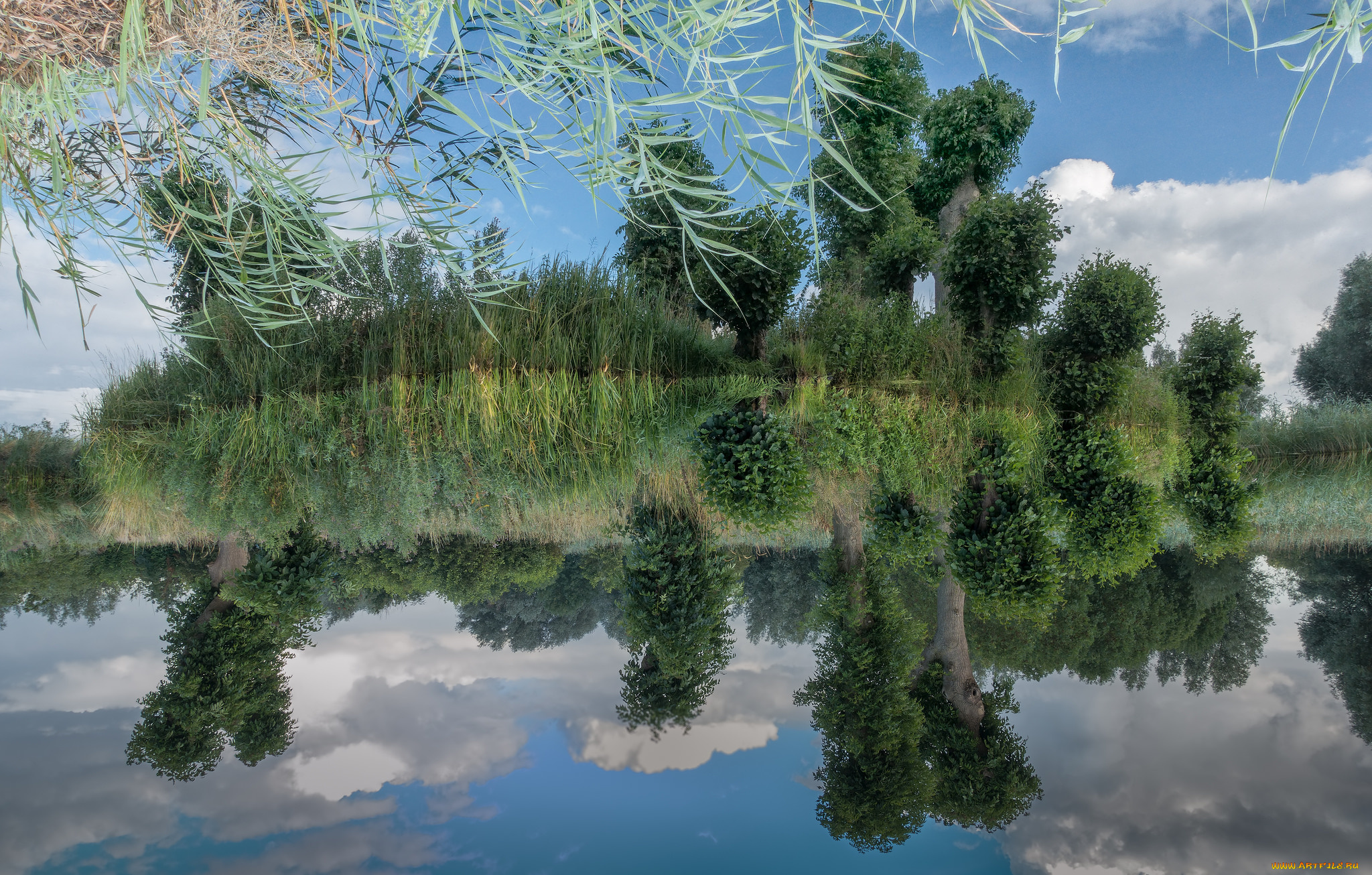 природа, реки, озера, простор