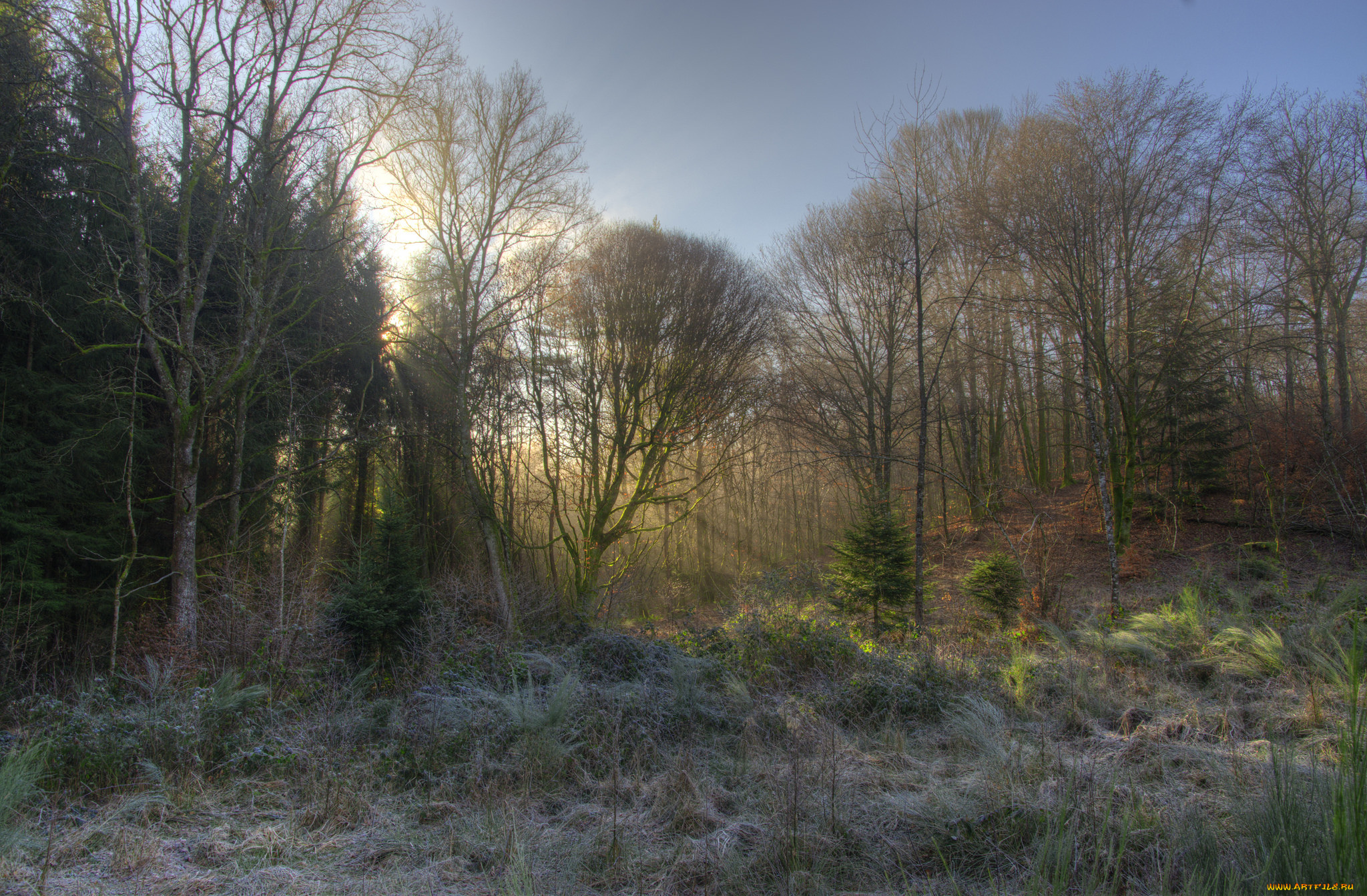 природа, пейзажи, простор