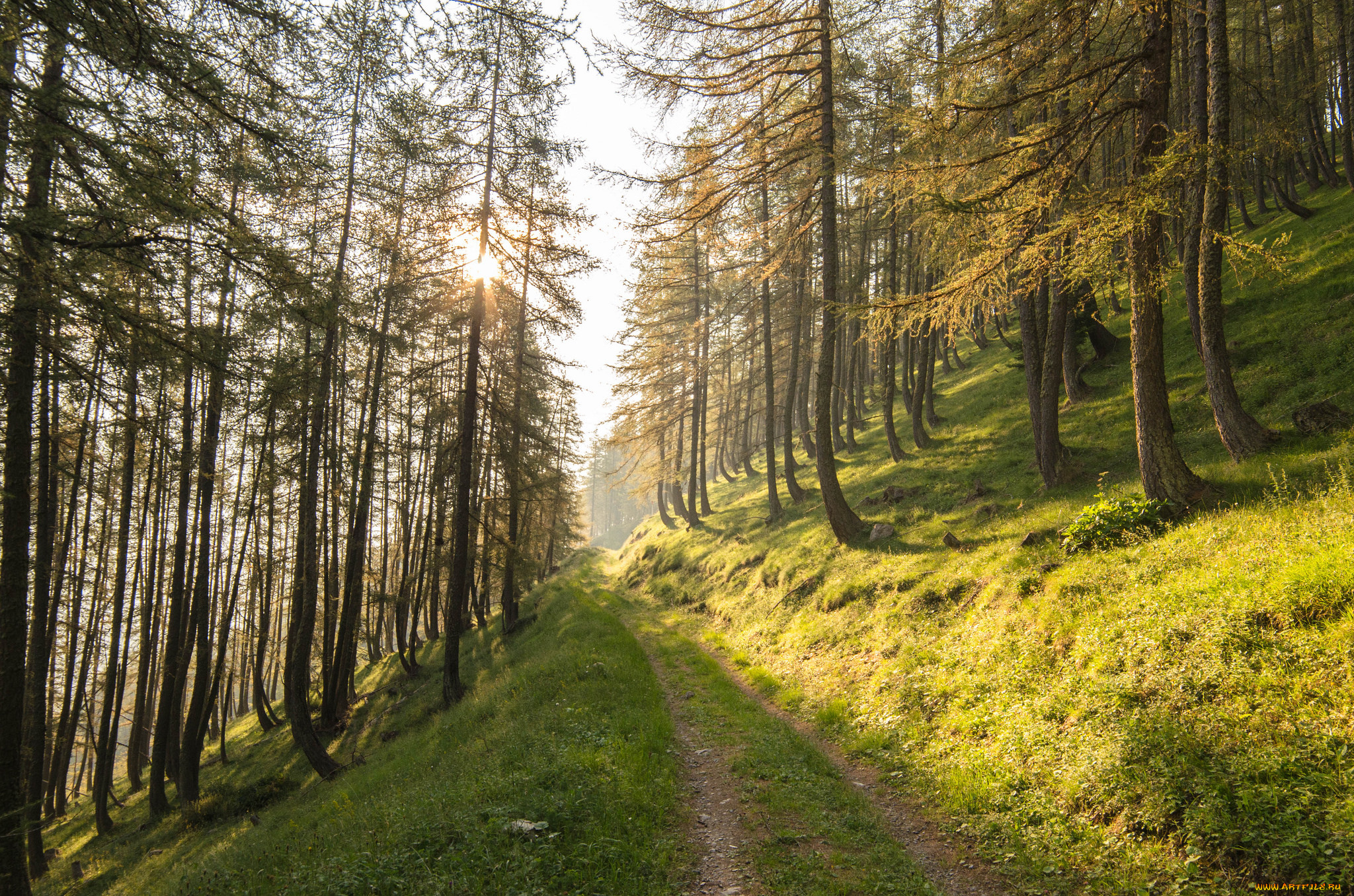 природа, дороги, простор