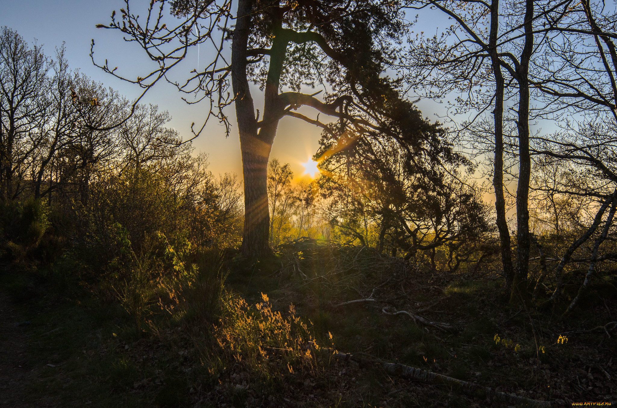 природа, восходы, закаты, простор