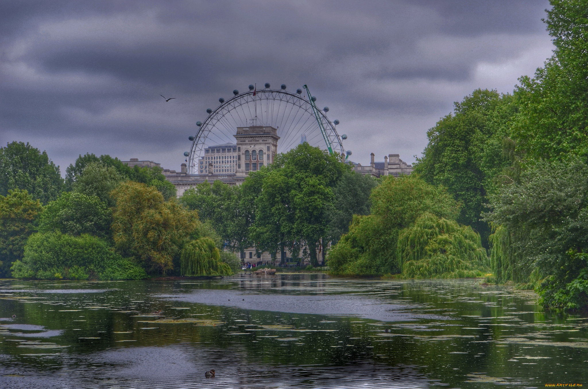 whitehall, города, лондон, , великобритания, простор