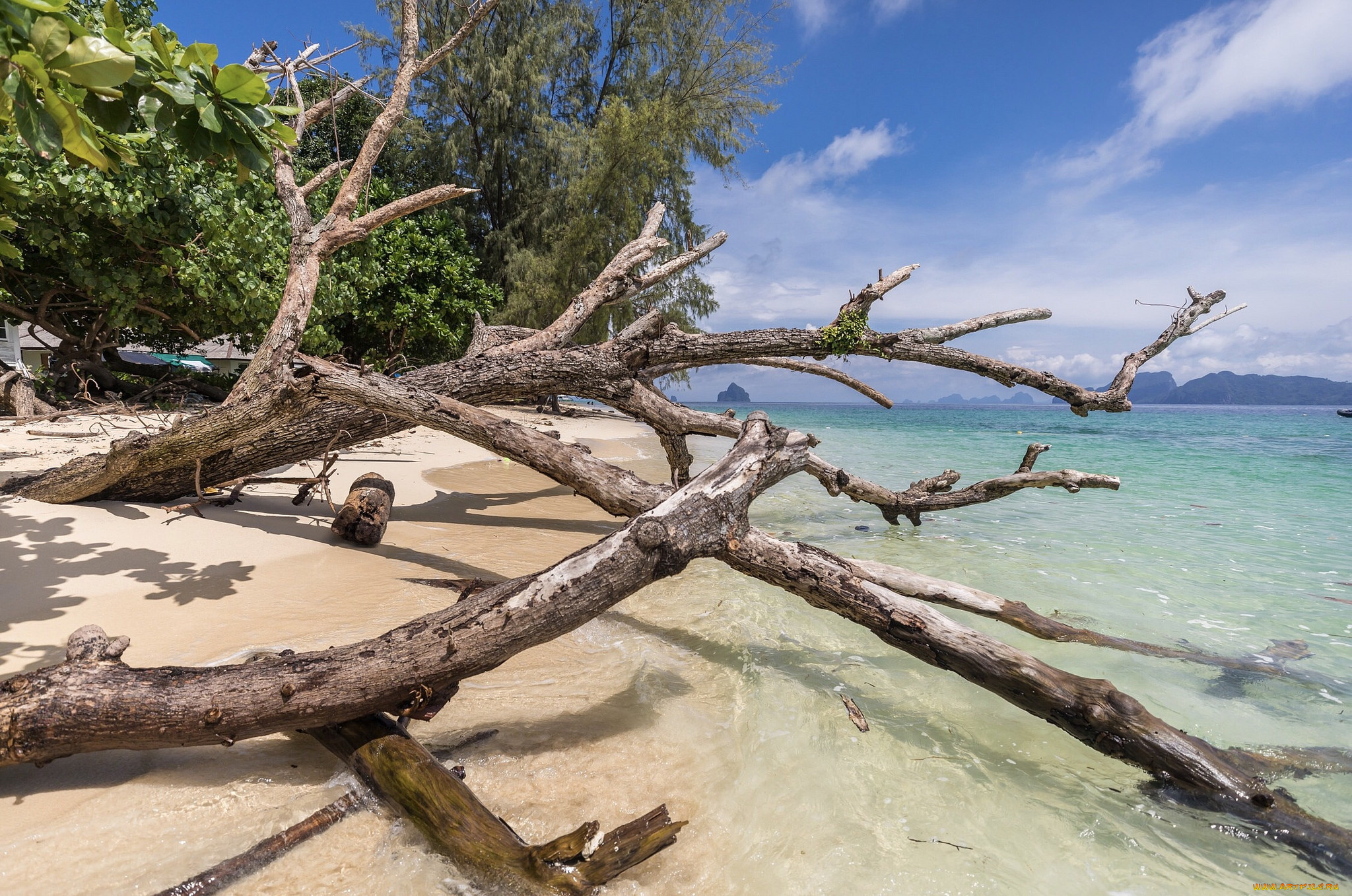 природа, побережье, простор