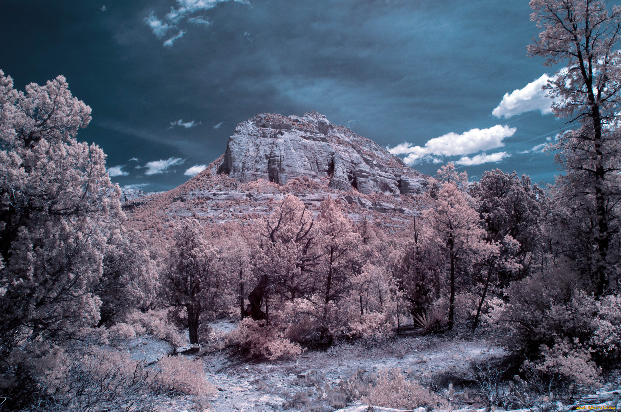 природа, горы, простор