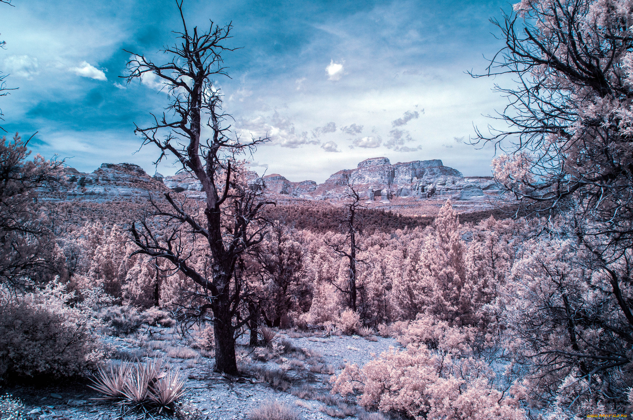 природа, пейзажи, простор