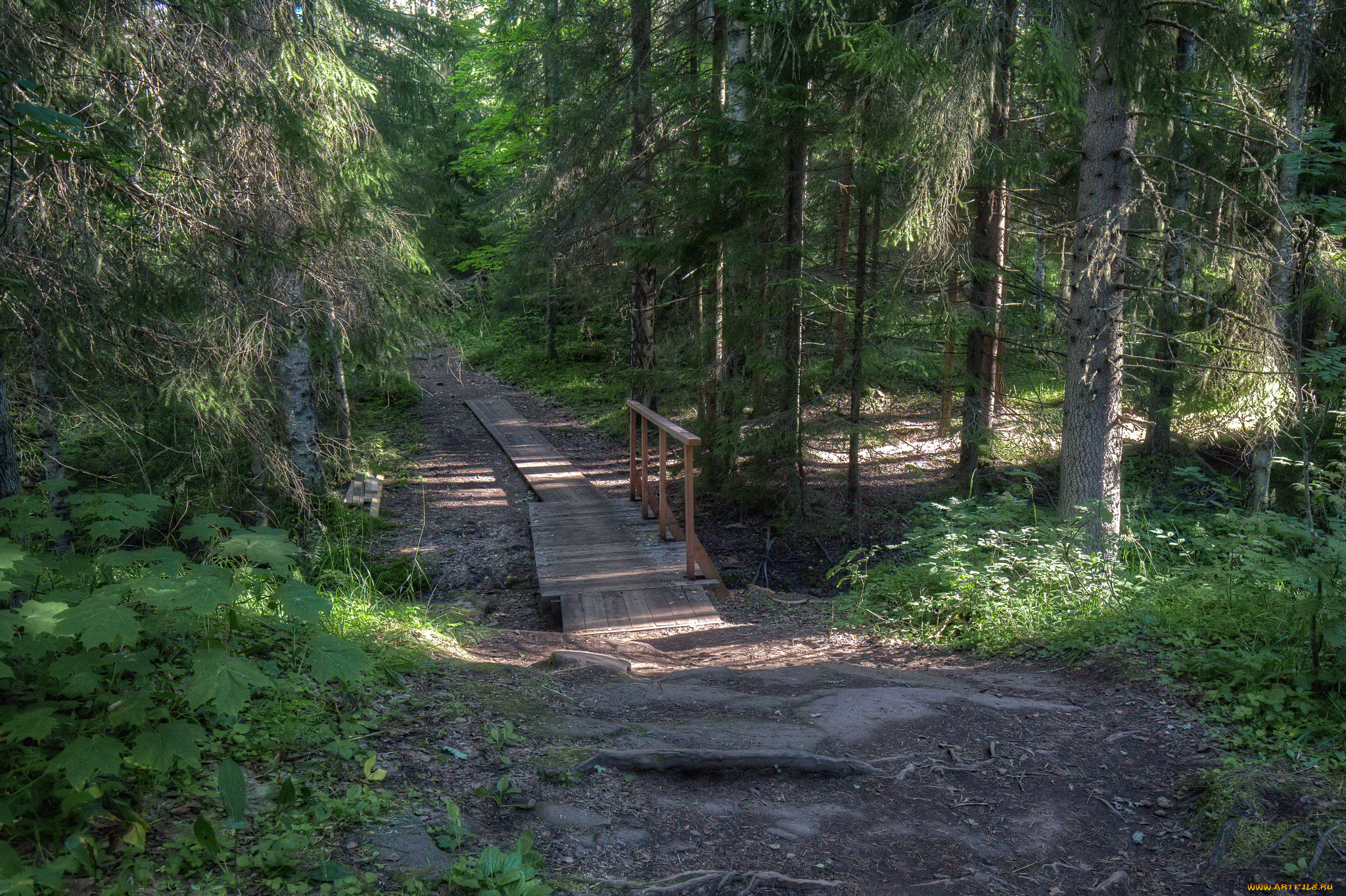 природа, дороги, простор