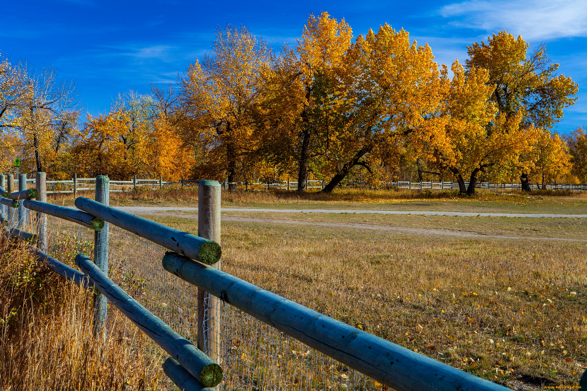 природа, пейзажи, простор