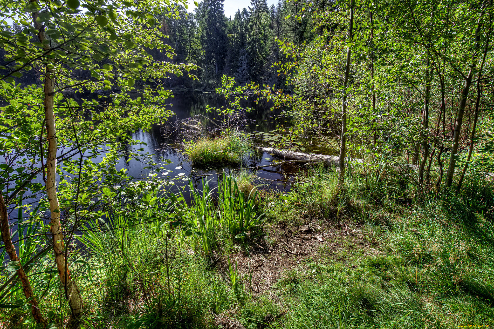 природа, реки, озера, простор