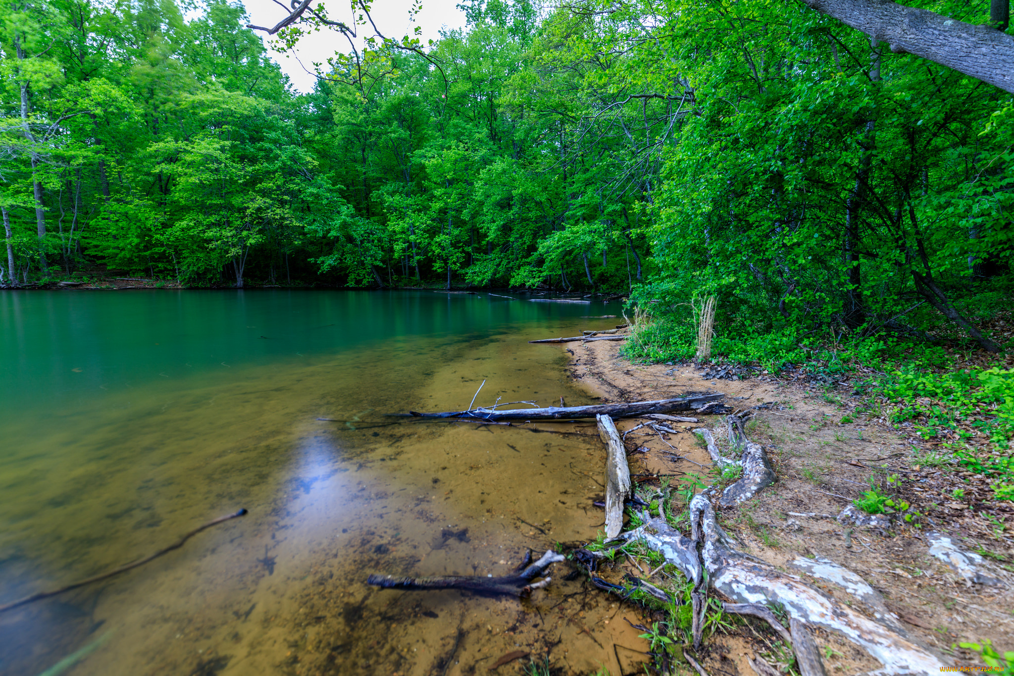 природа, реки, озера, простор