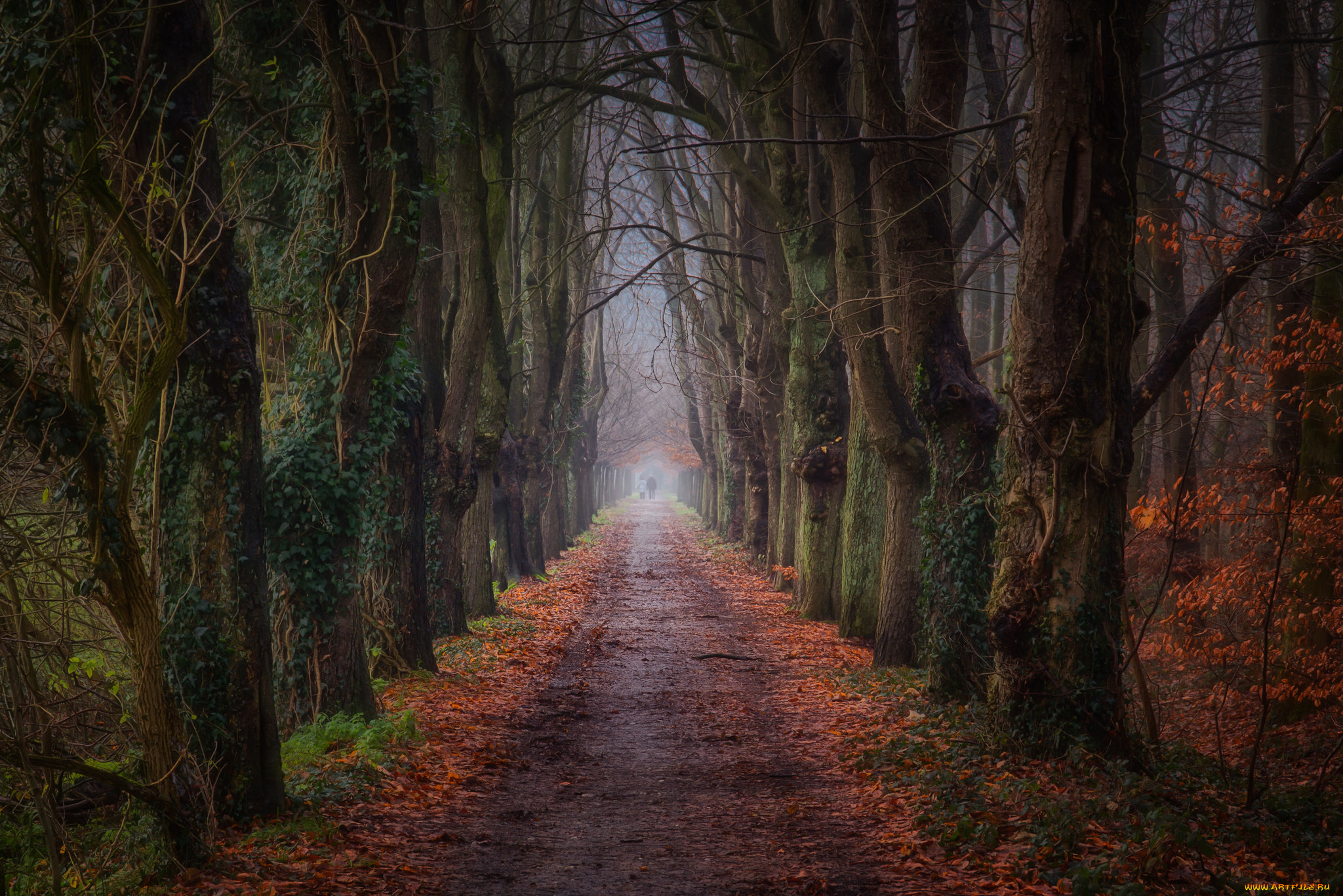 природа, дороги, простор