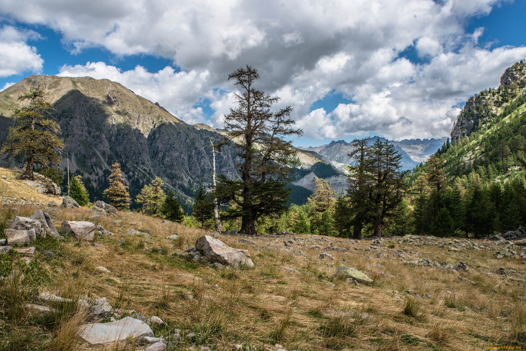 природа, горы, простор