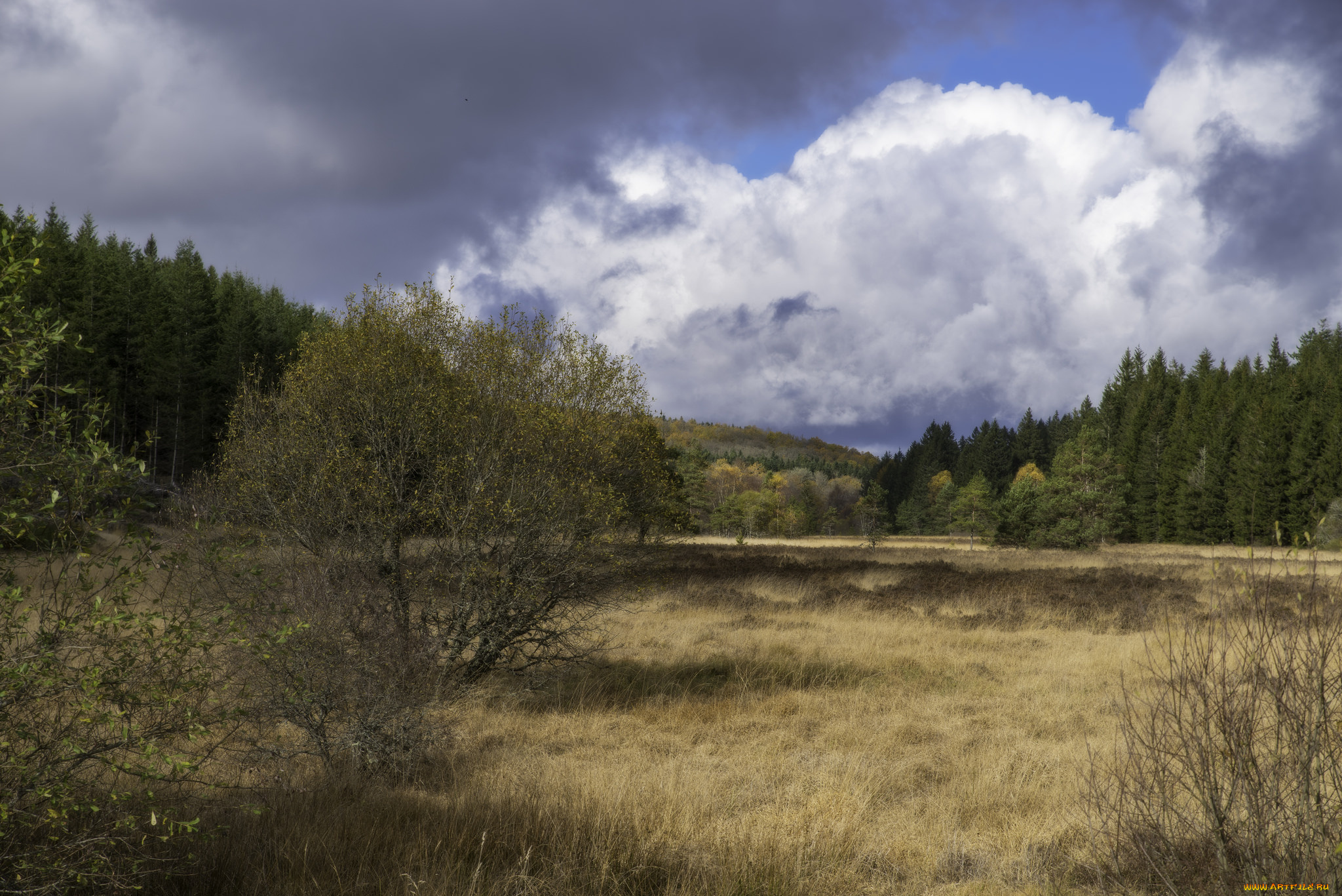 природа, пейзажи, простор