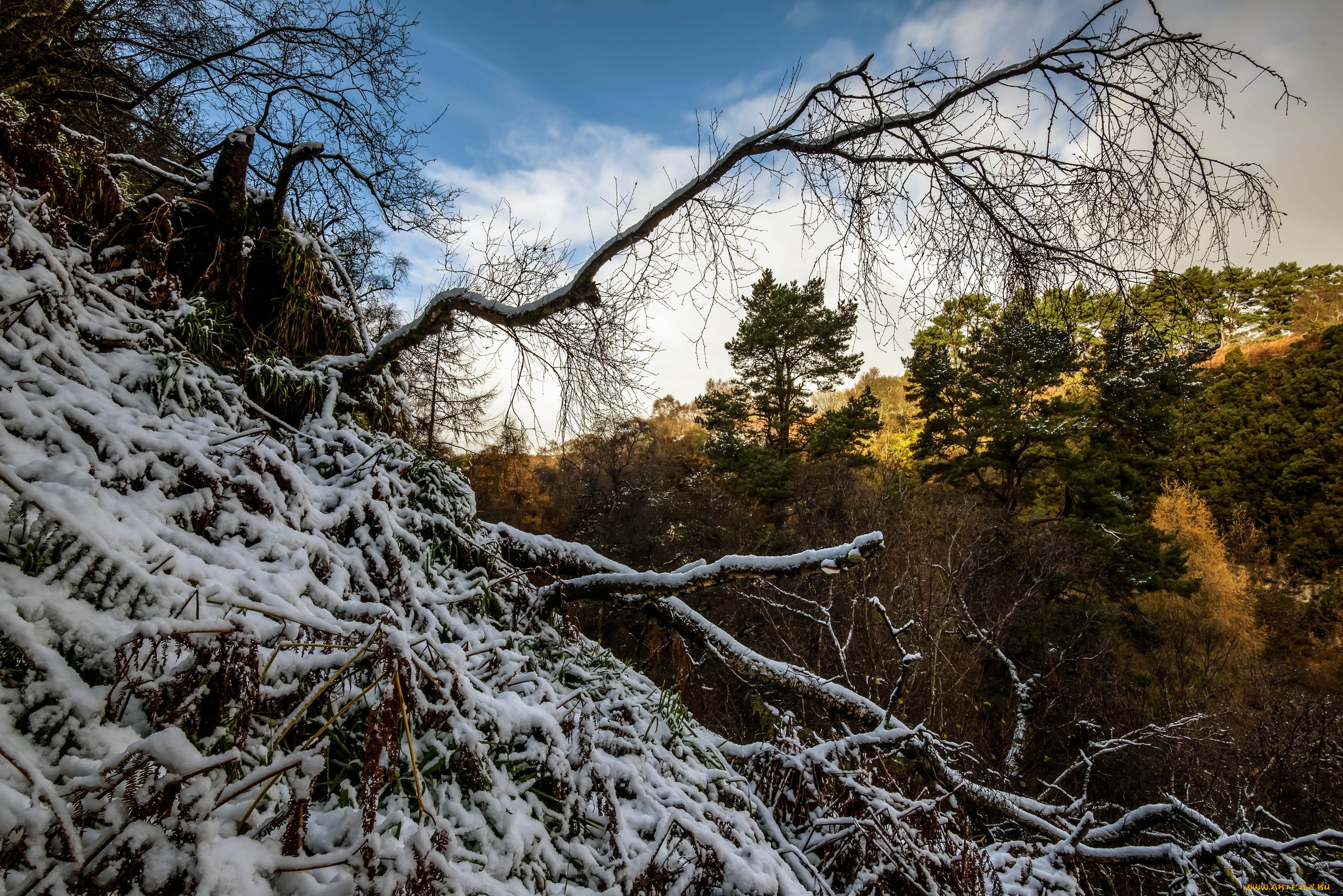 природа, пейзажи, простор