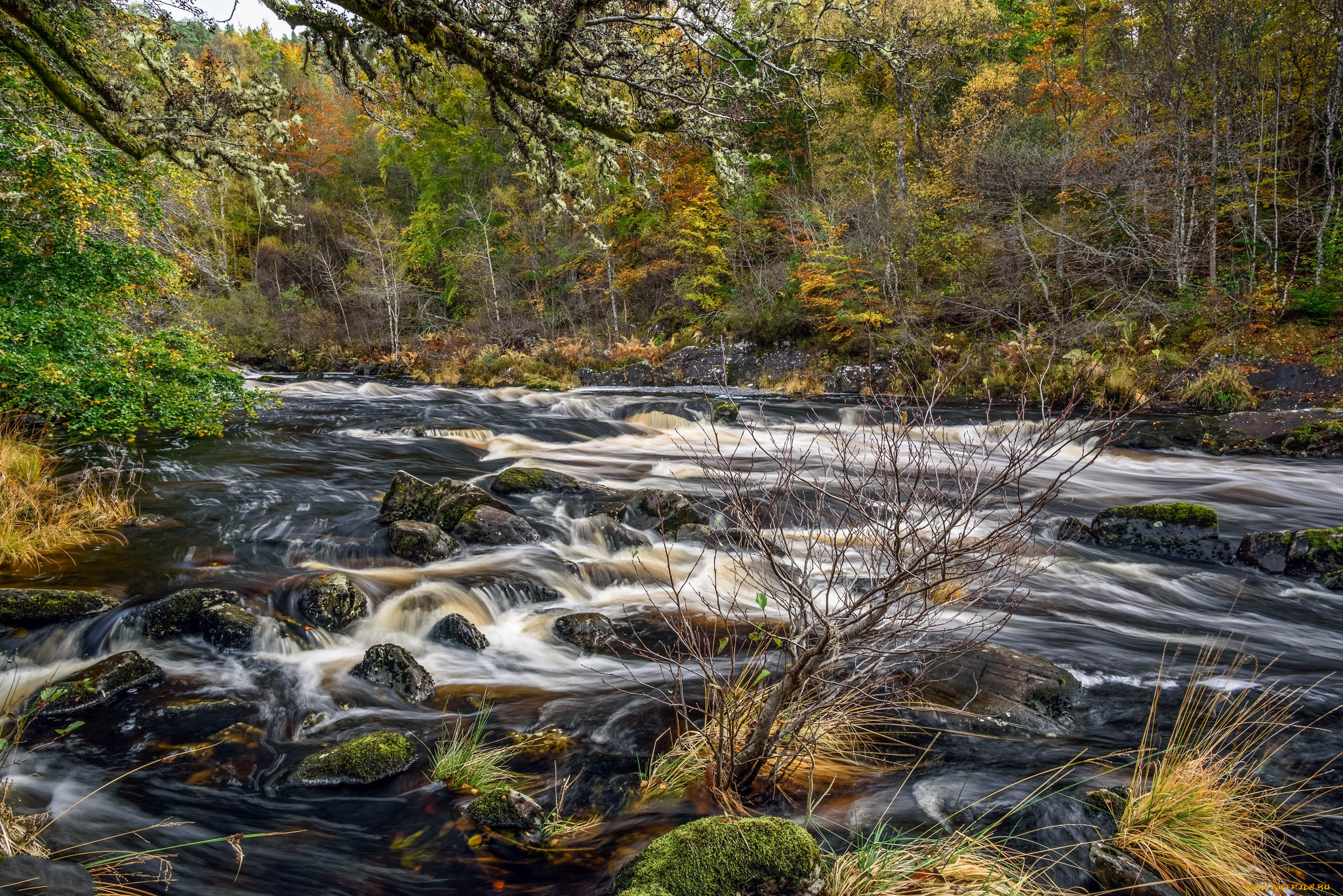 природа, реки, озера, простор