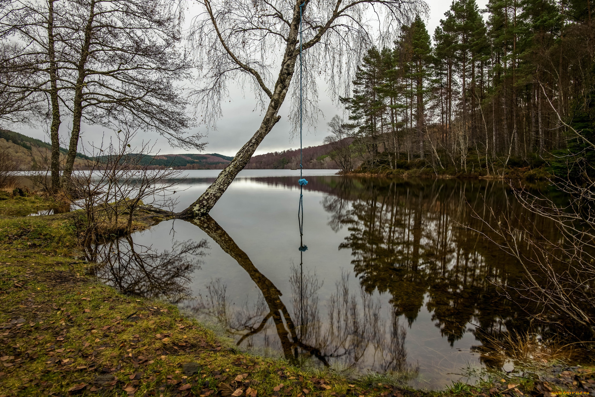 природа, реки, озера, простор