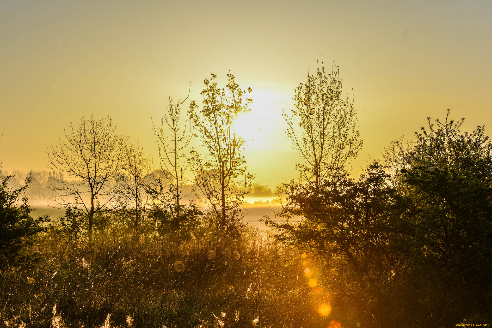 природа, восходы, закаты, простор