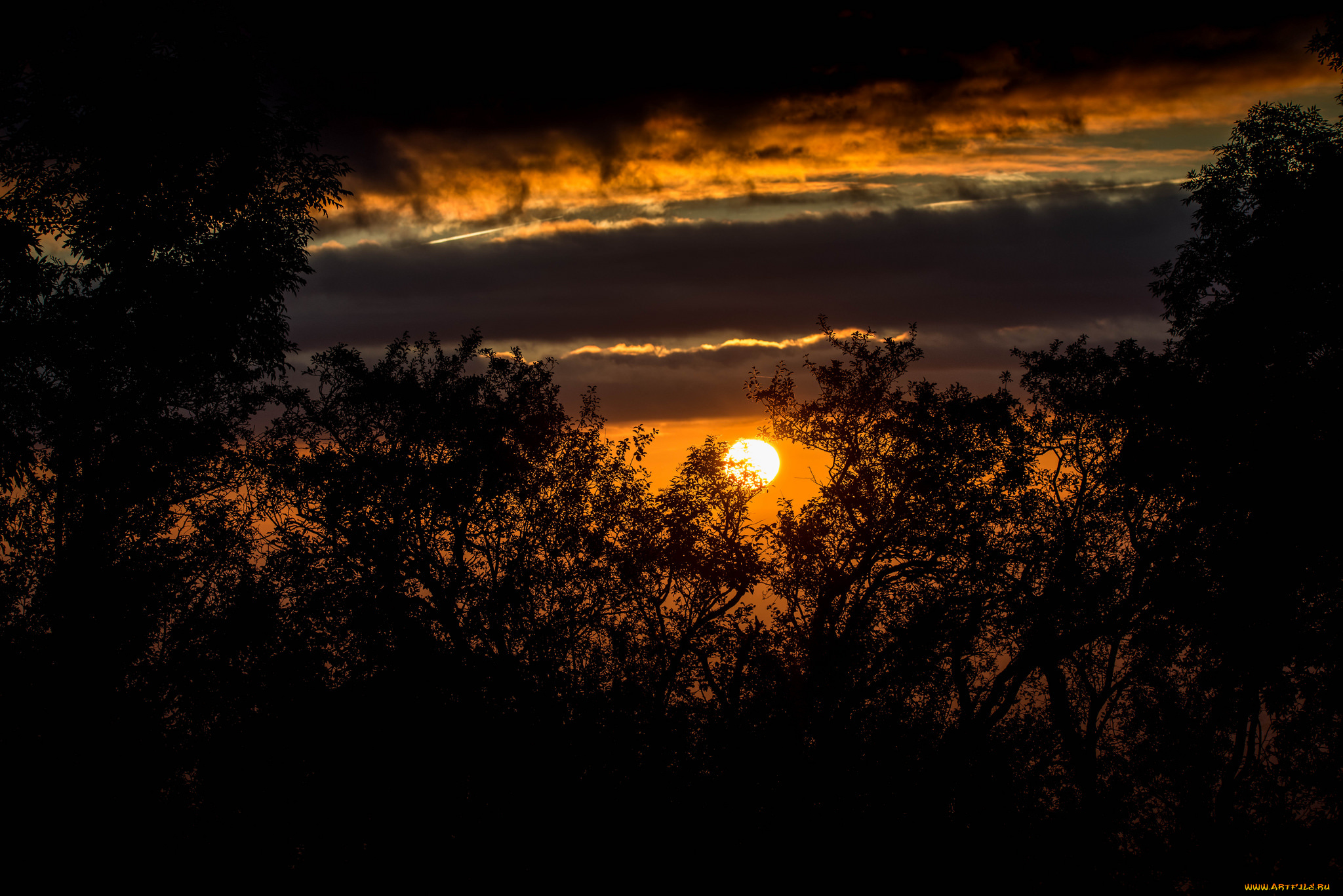 природа, восходы, закаты, простор