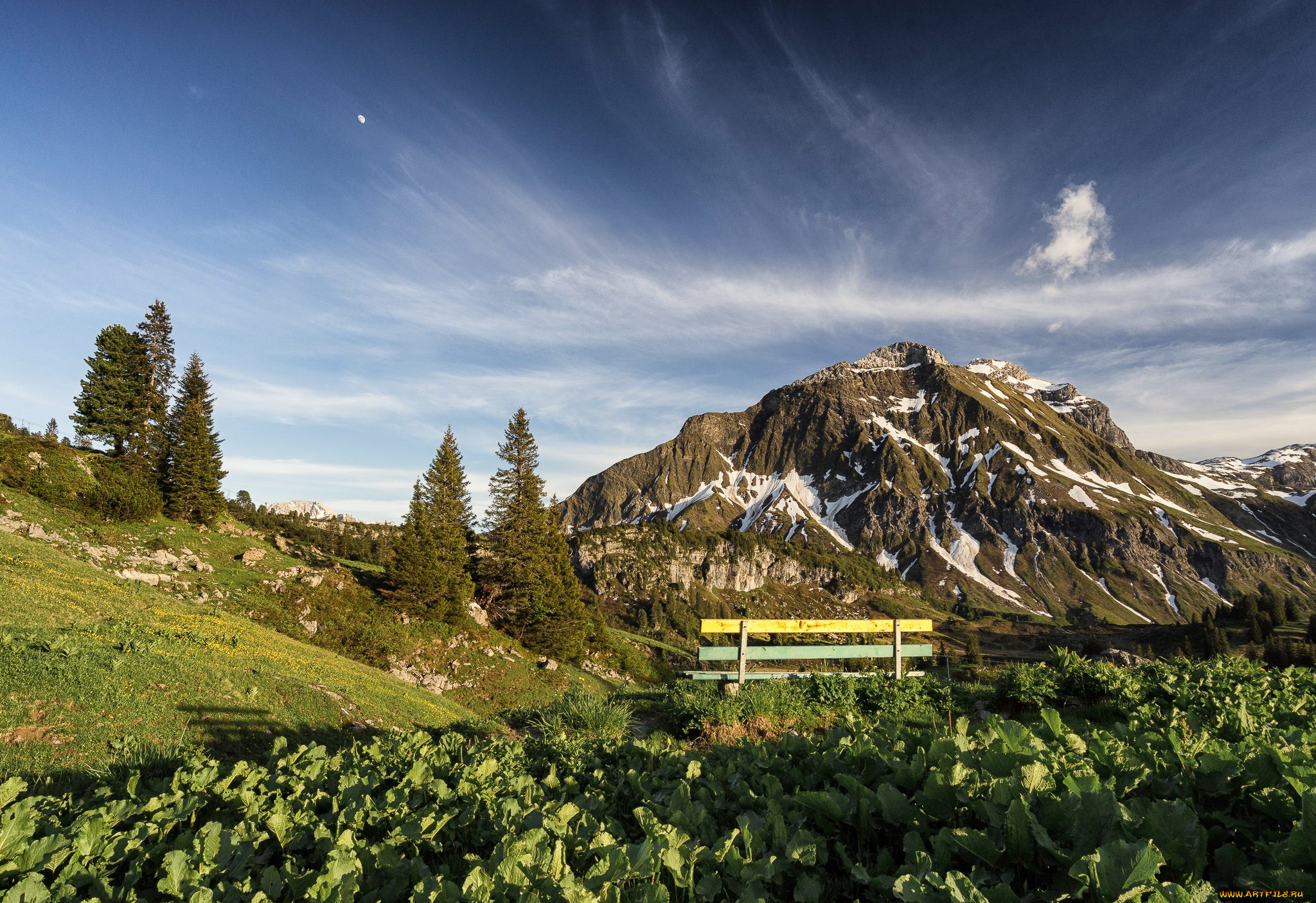 природа, пейзажи, простор