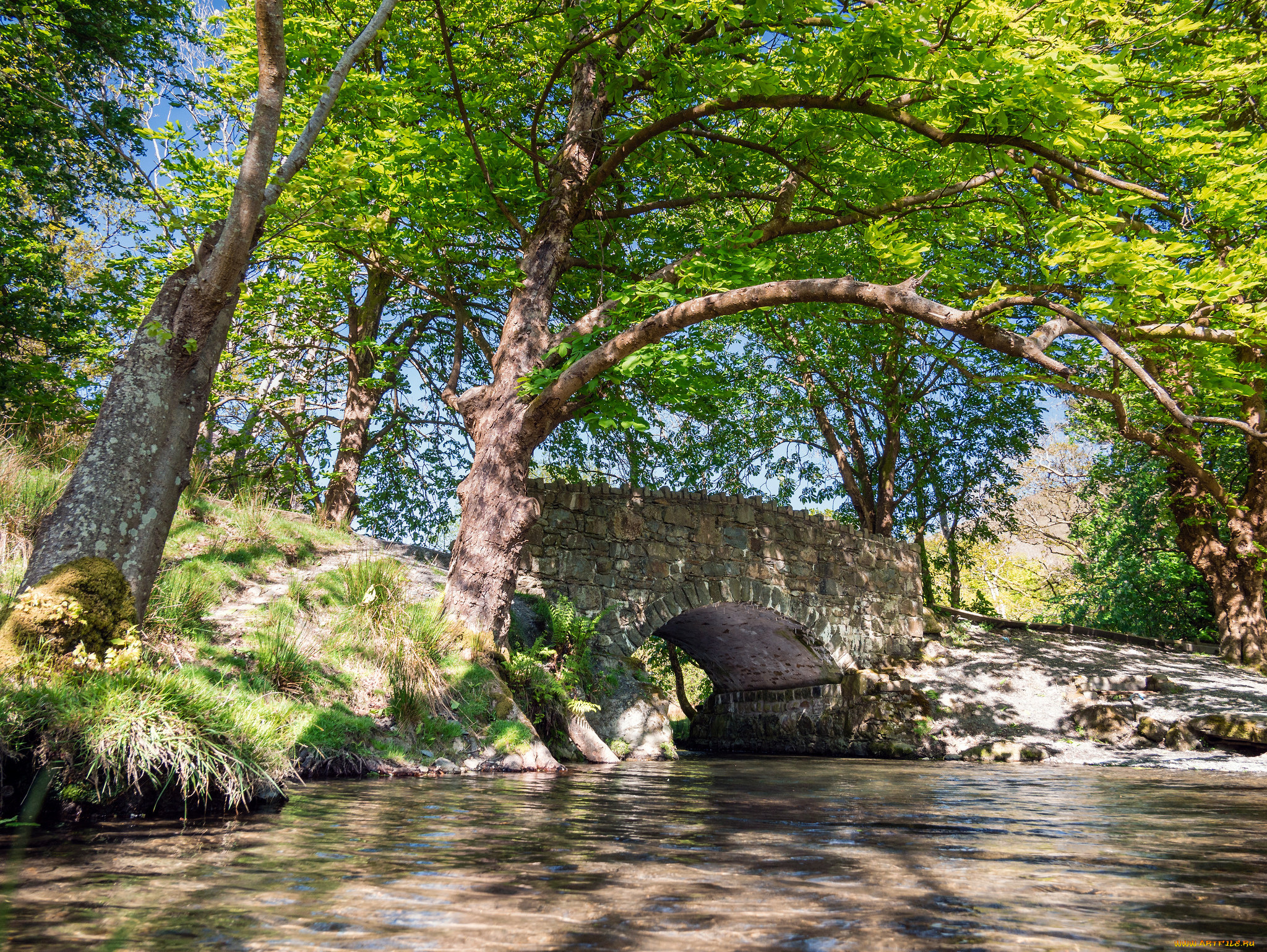 природа, реки, озера, простор