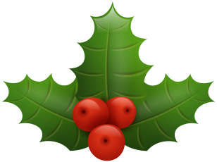 Картинка векторная+графика цветы+ flowers ягоды фон листья