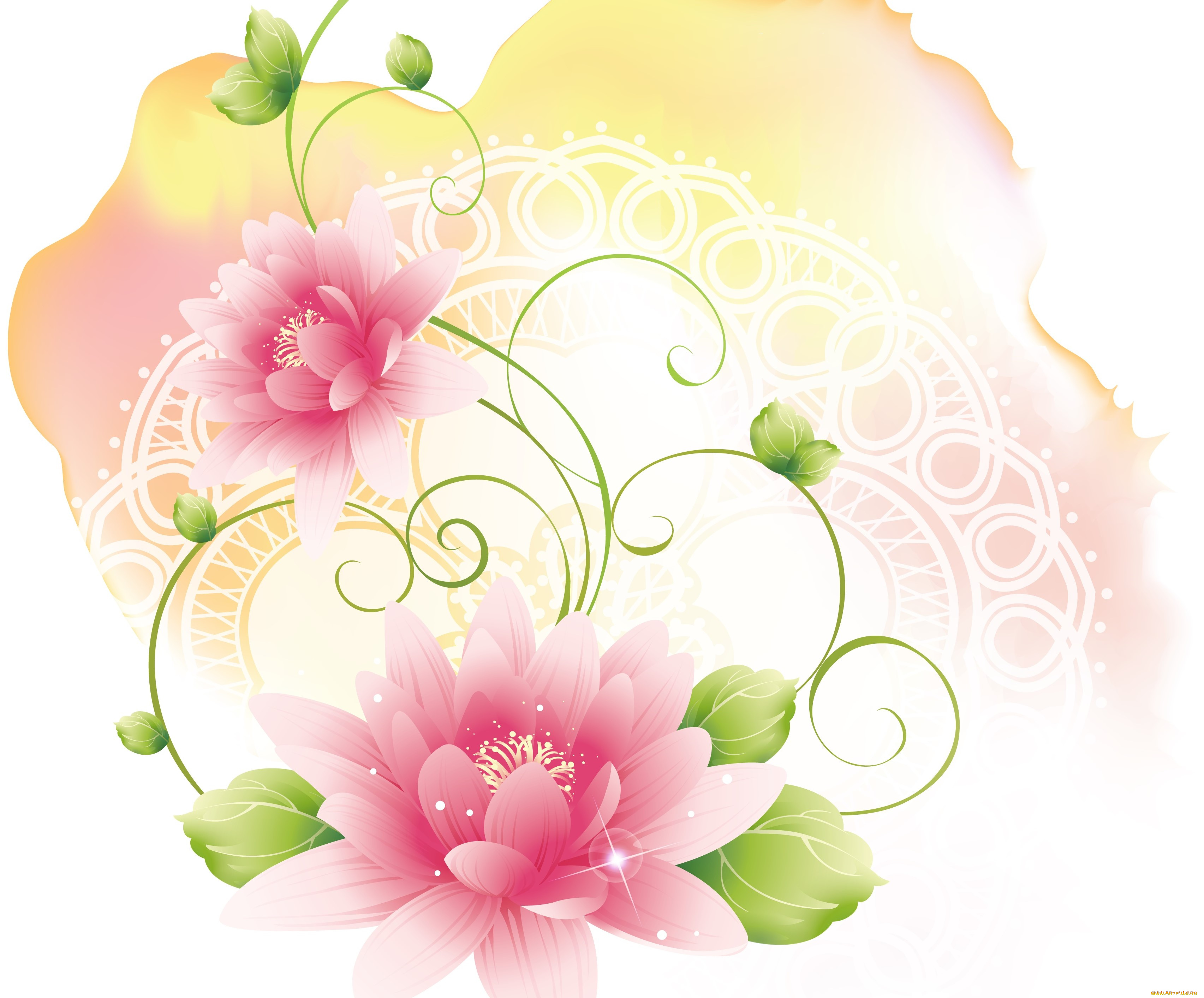 векторная, графика, цветы, , flowers, цветы, фон