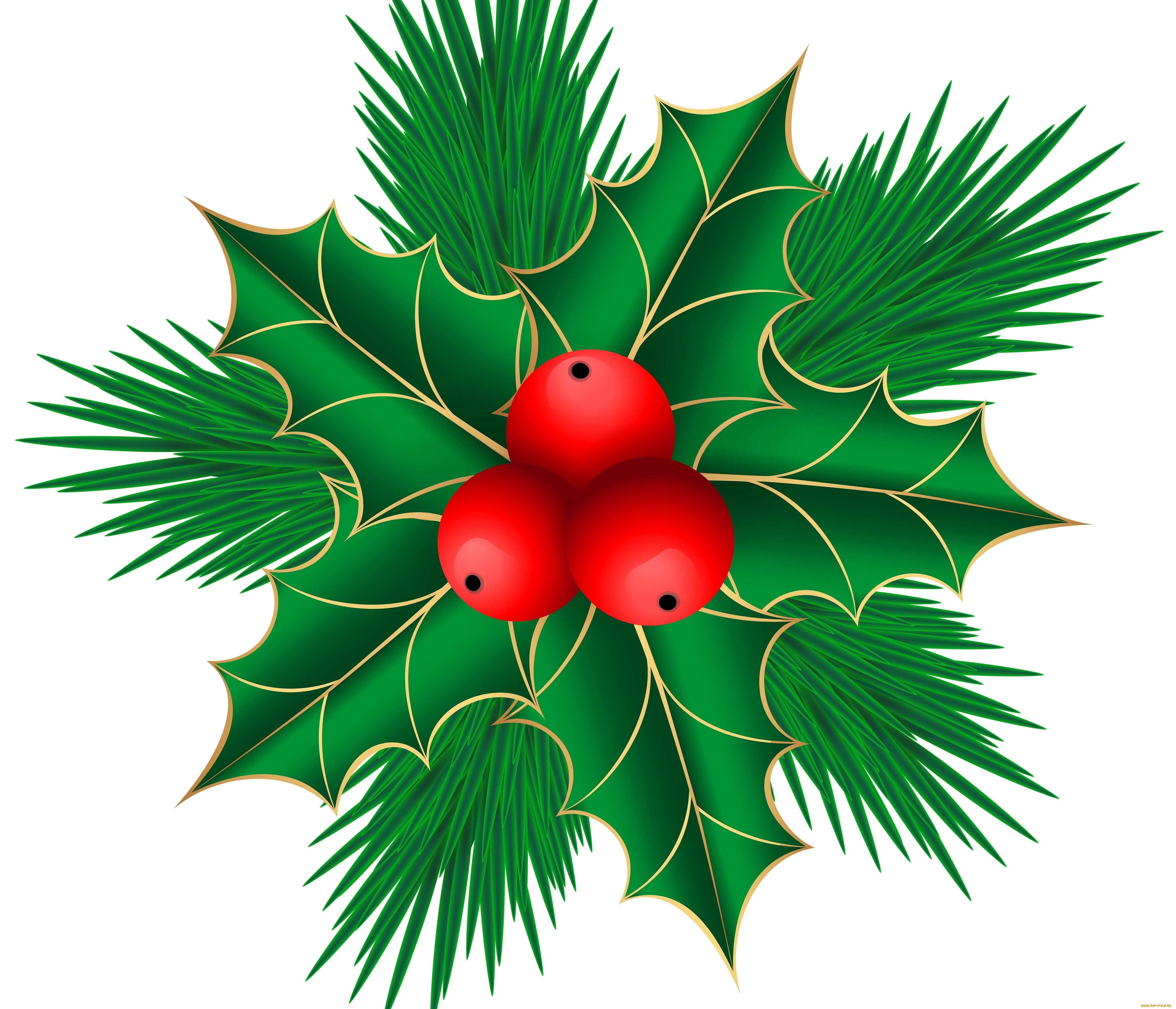 векторная, графика, цветы, , flowers, ягоды, фон, листья