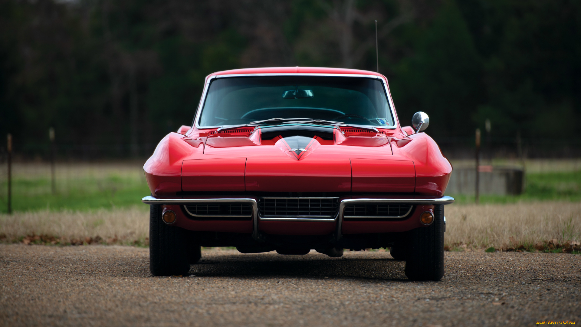 автомобили, corvette