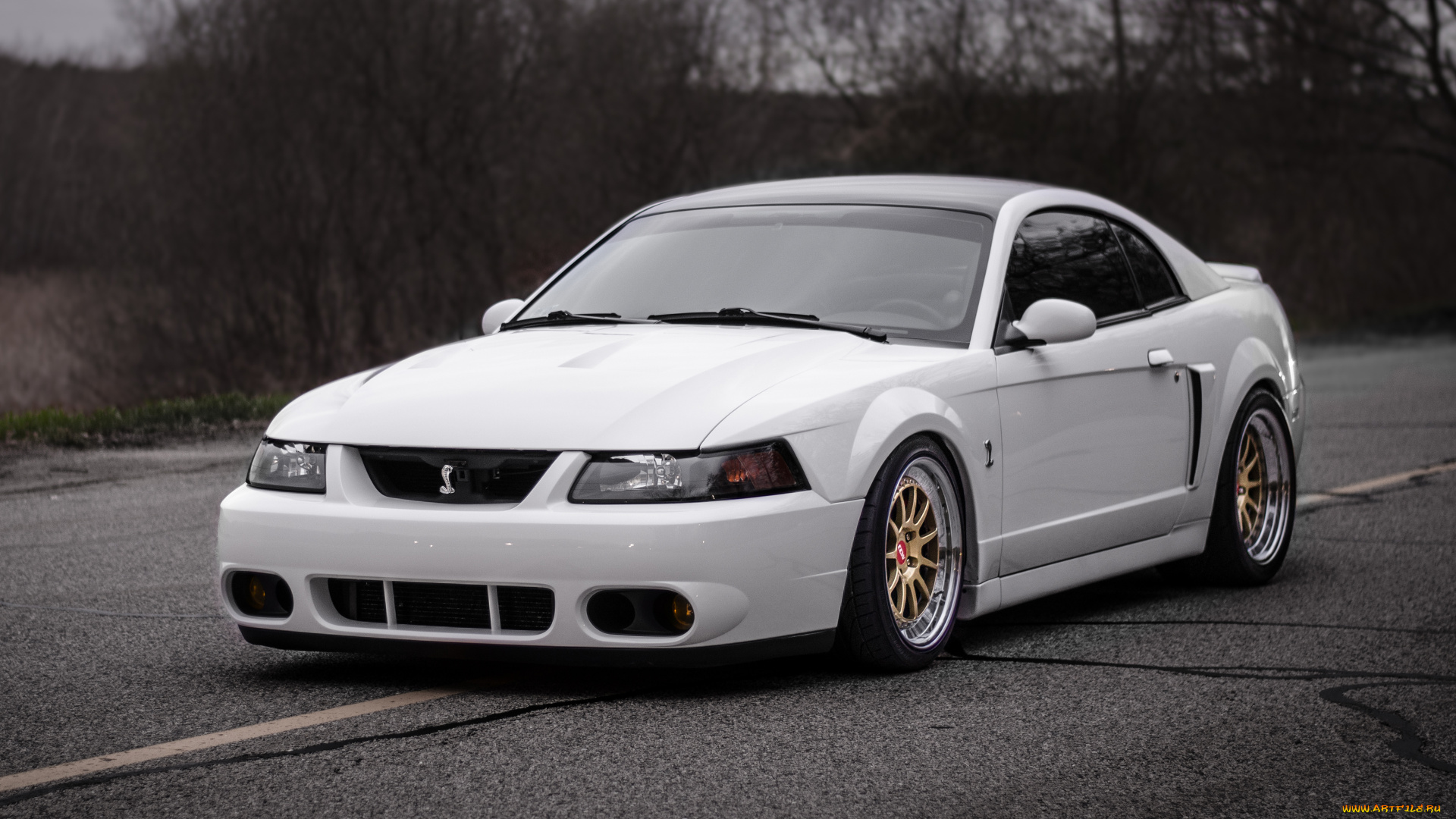 автомобили, mustang, ford, shelby, cobra